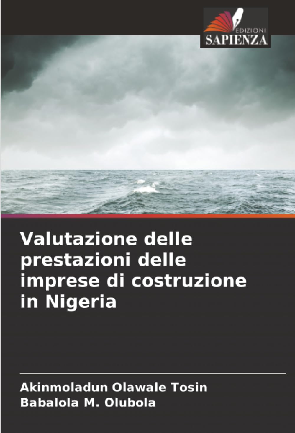Valutazione delle prestazioni delle imprese di costruzione in Nigeria Business & Technology