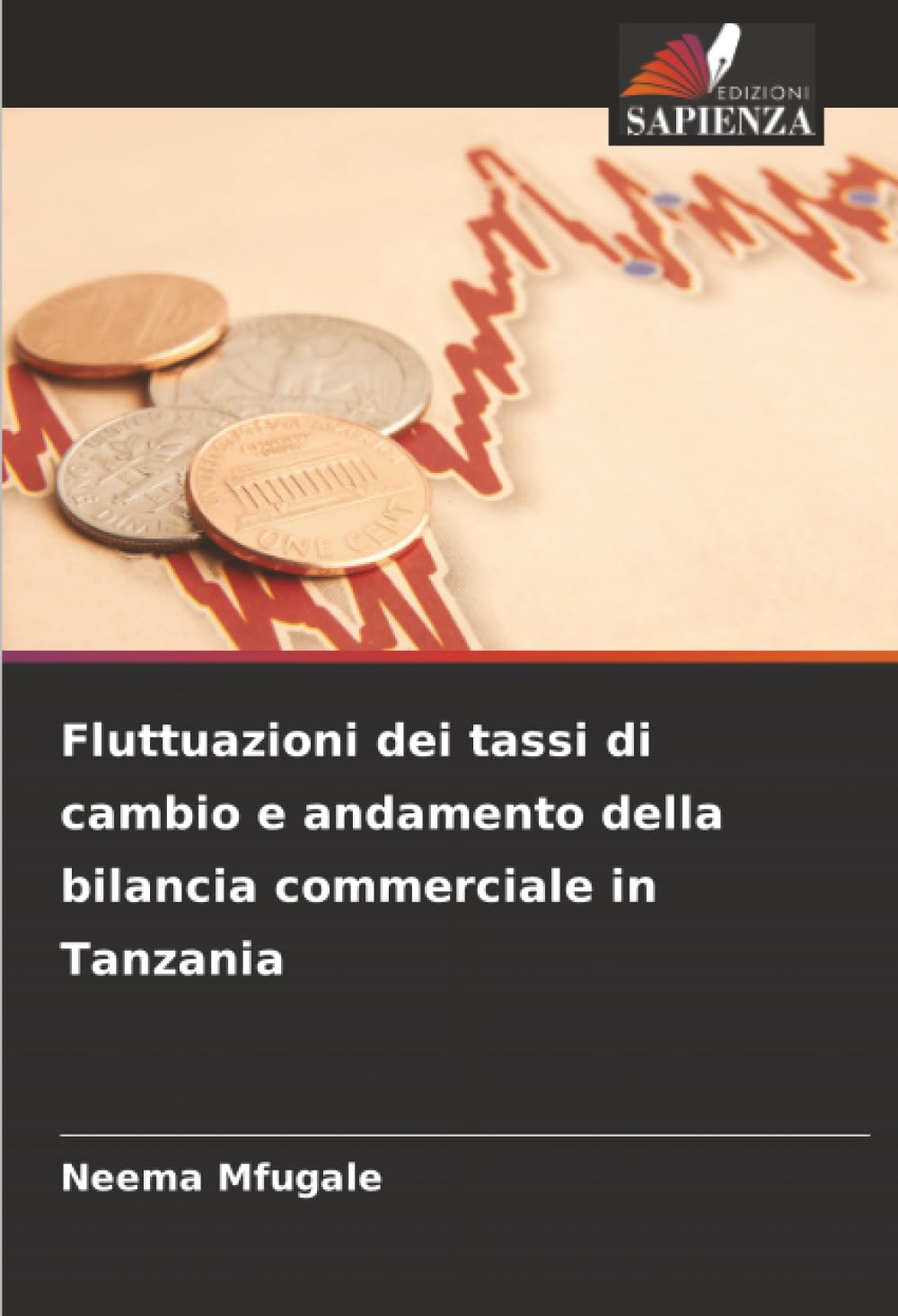 Fluttuazioni dei tassi di cambio e andamento della bilancia commerciale in Tanzania Law