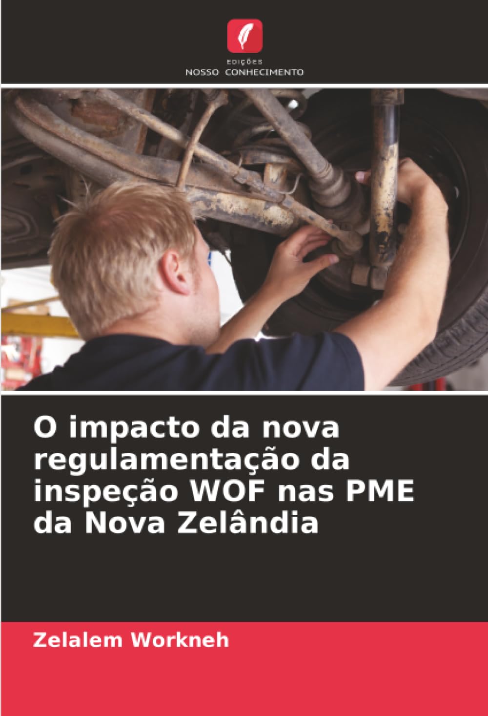 O impacto da nova regulamentação da inspeção WOF nas PME da Nova Zelândia Leisure, Home & Garden