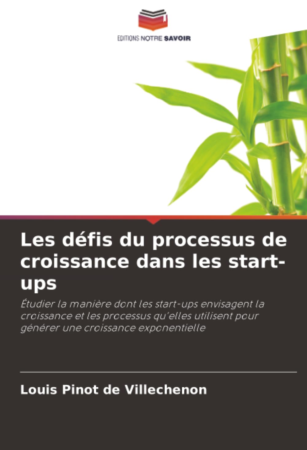 Les défis du processus de croissance dans les start-ups: Étudier la manière dont les start-ups envisagent la croissance et les processus qu'elles utilisent pour générer une croissance exponentielle Law
