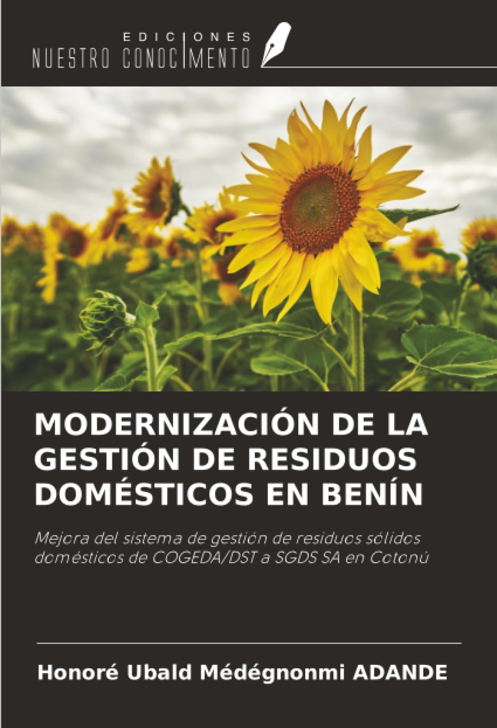 MODERNIZACIÓN DE LA GESTIÓN DE RESIDUOS DOMÉSTICOS EN BENÍN Law