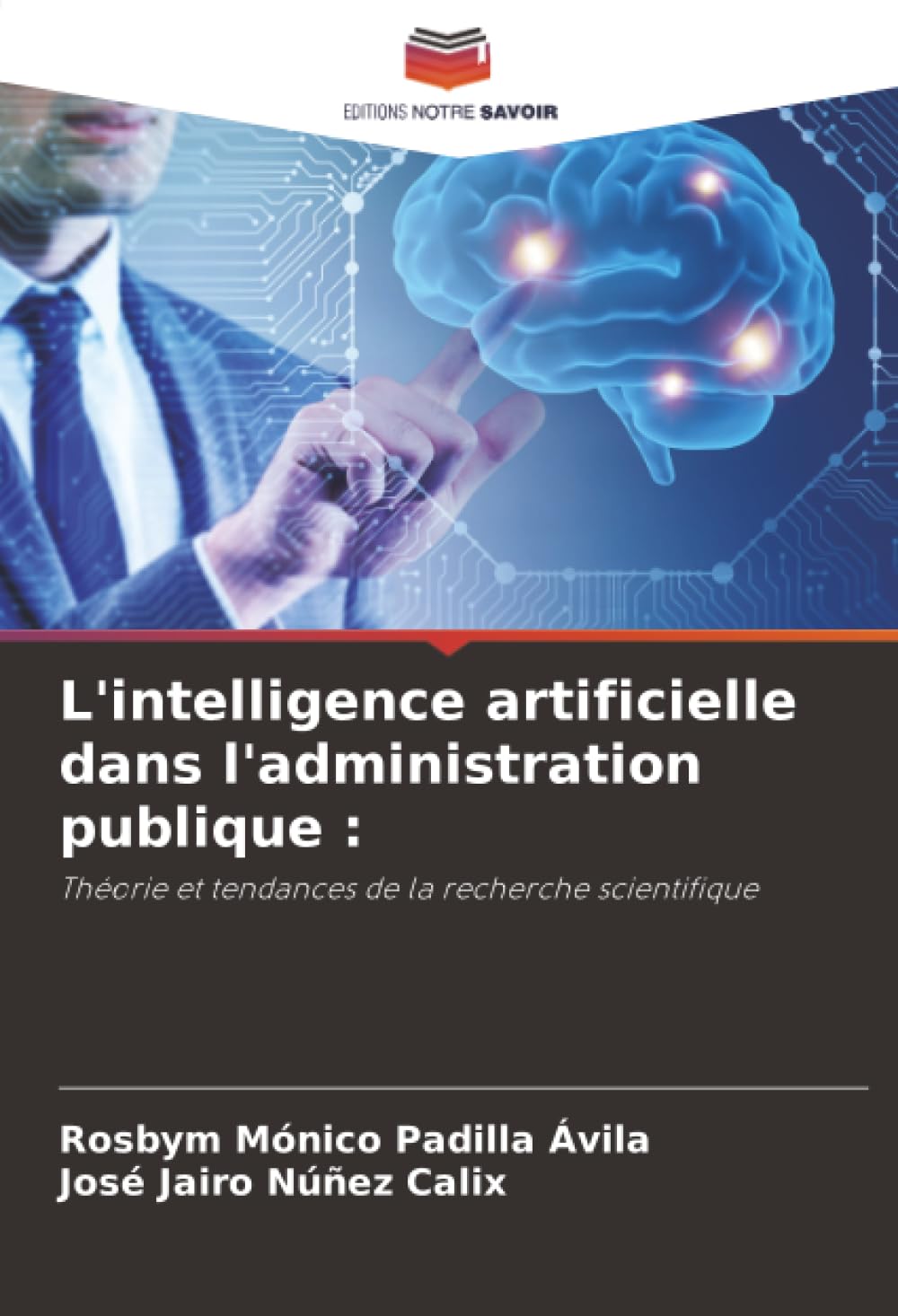 L'intelligence artificielle dans l'administration publique : Law