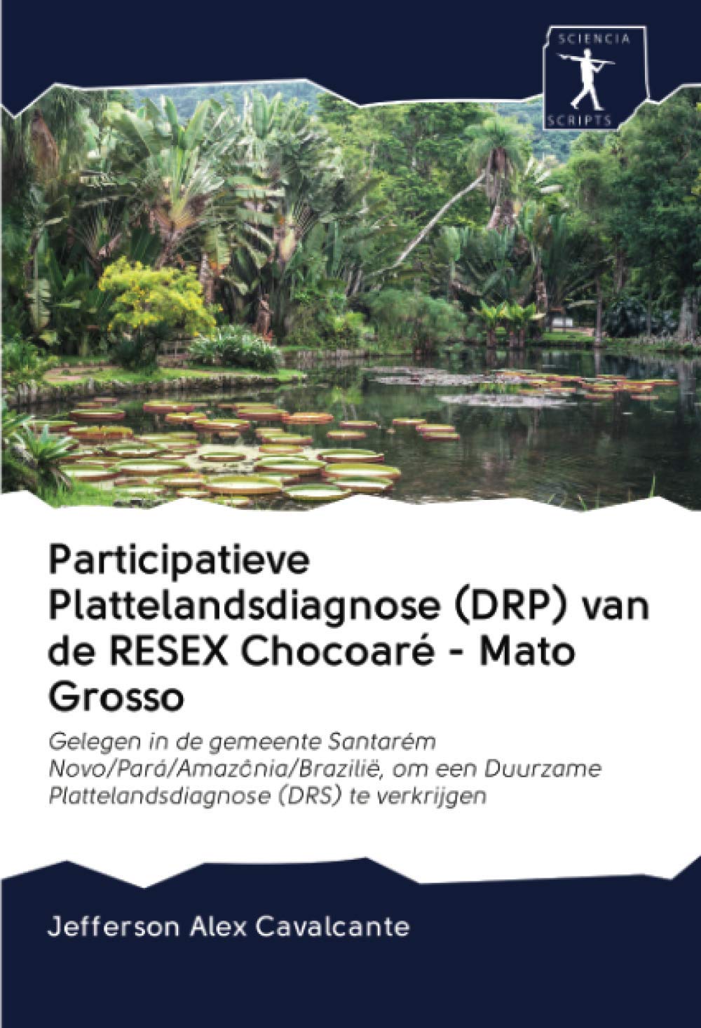 Participatieve Plattelandsdiagnose (DRP) van de RESEX Chocoaré - Mato Grosso: Gelegen in de gemeente Santarém Novo/Pará/Amazônia/Brazilië, om een Duurzame Plattelandsdiagnose (DRS) te verkrijgen book