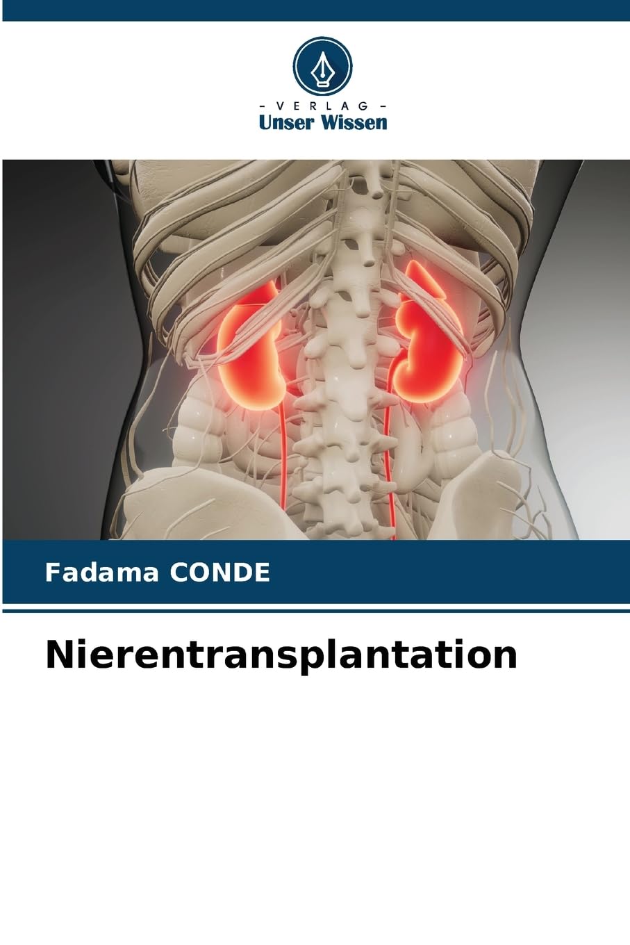 Nierentransplantation Medicine