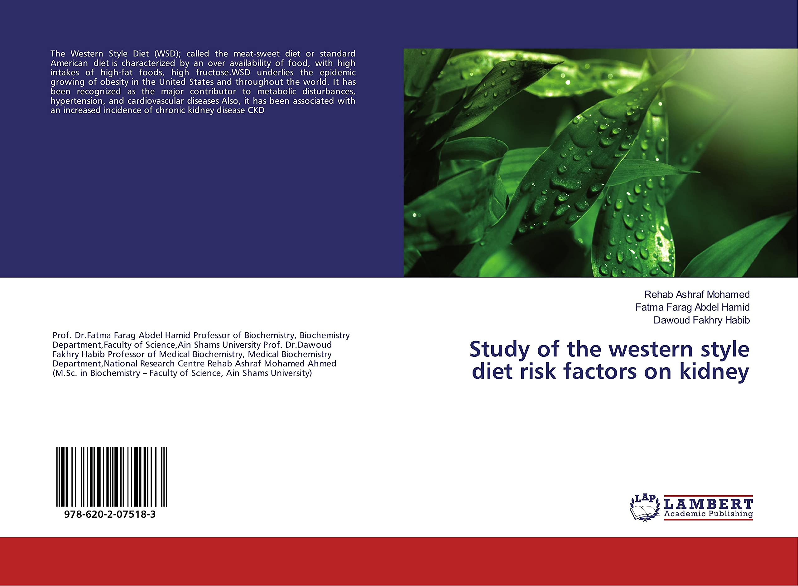 Study of the western style diet risk factors on kidney Natural Sciences