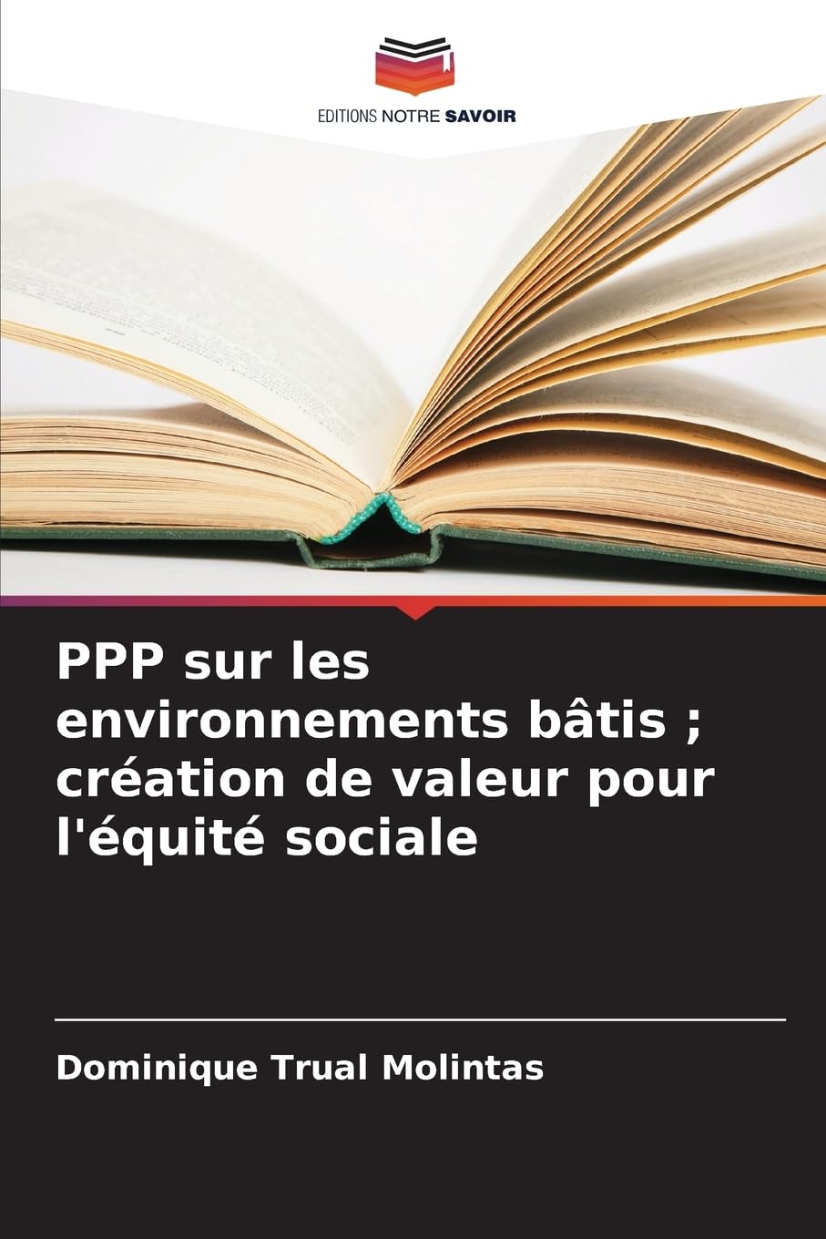 PPP sur les environnements bâtis ; création de valeur pour l'équité sociale Law
