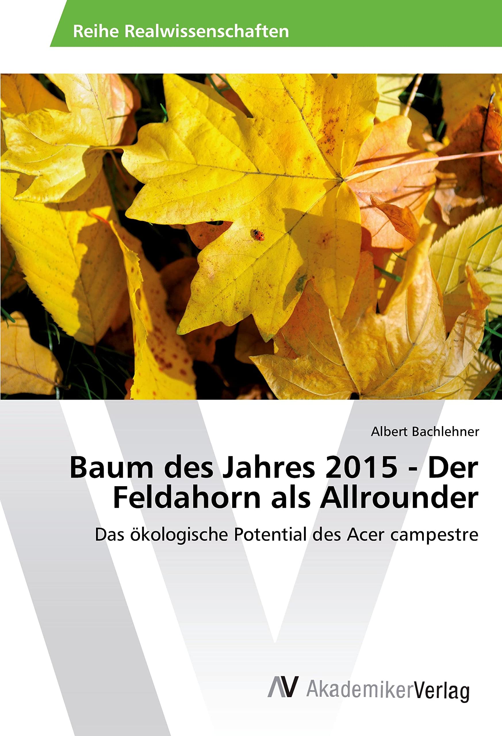 Baum des Jahres 2015 - Der Feldahorn als Allrounder Natural Sciences