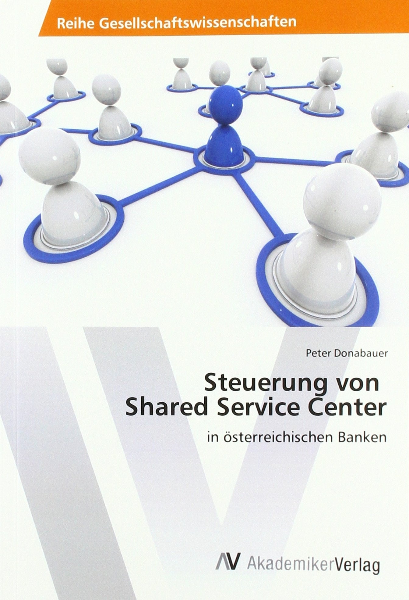 Steuerung von Shared Service Center: in österreichischen Banken Law