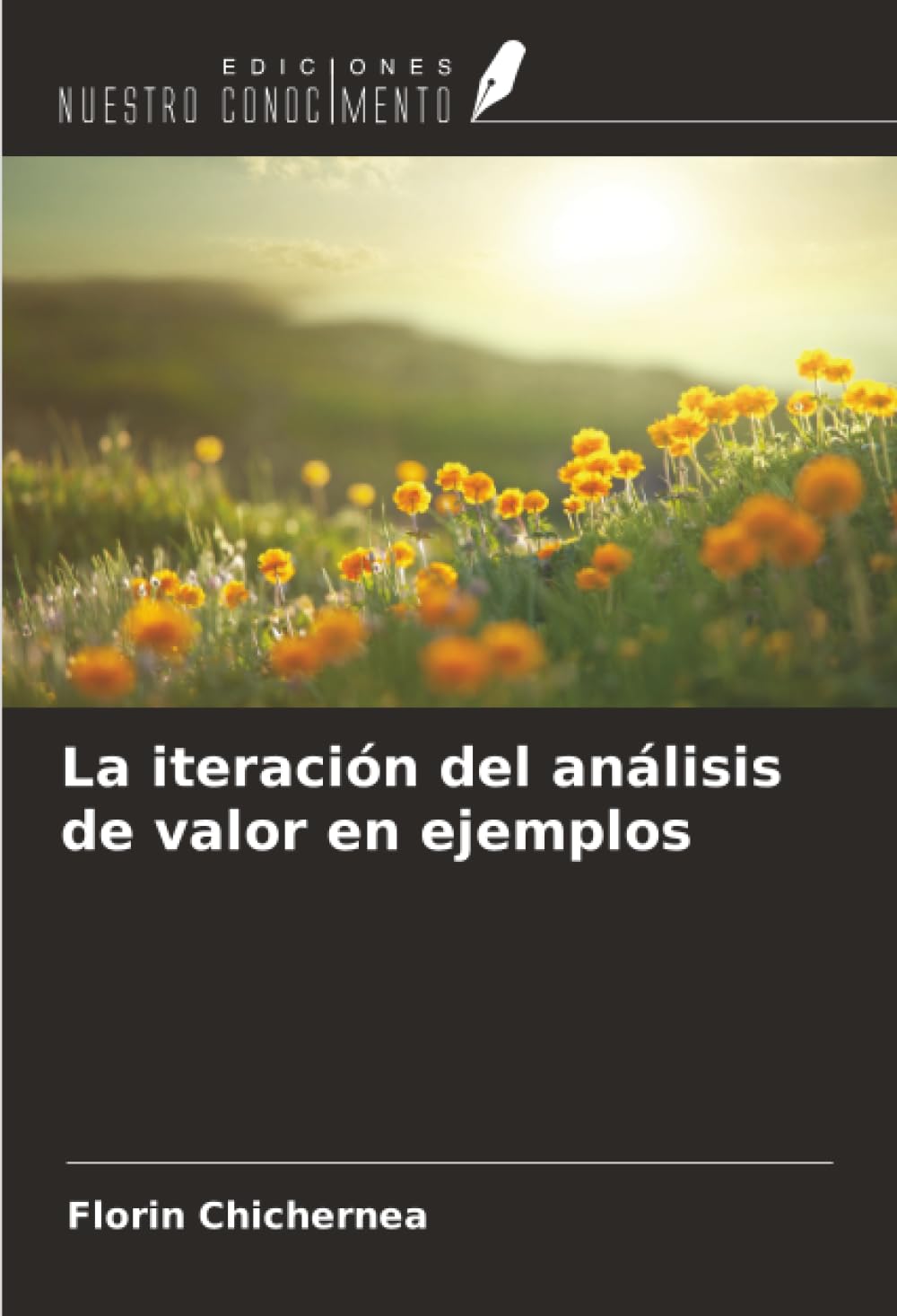 La iteración del análisis de valor en ejemplos Business & Technology