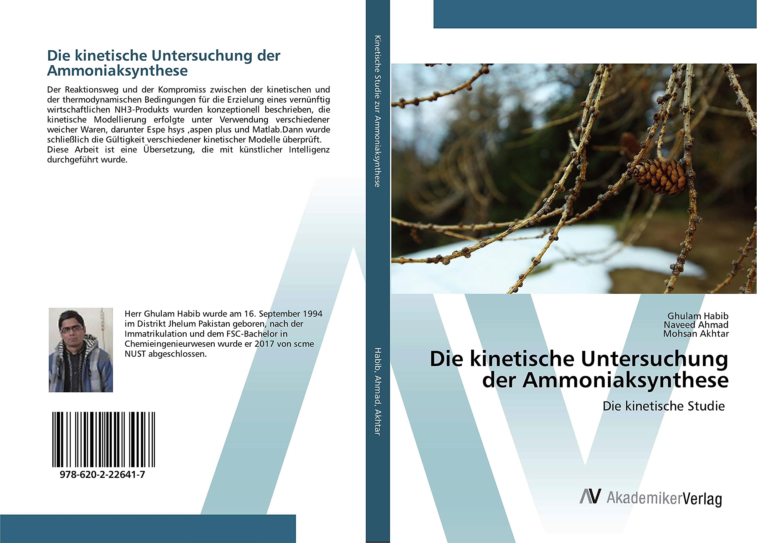 Die kinetische Untersuchung der Ammoniaksynthese: Die kinetische Studie Business & Technology