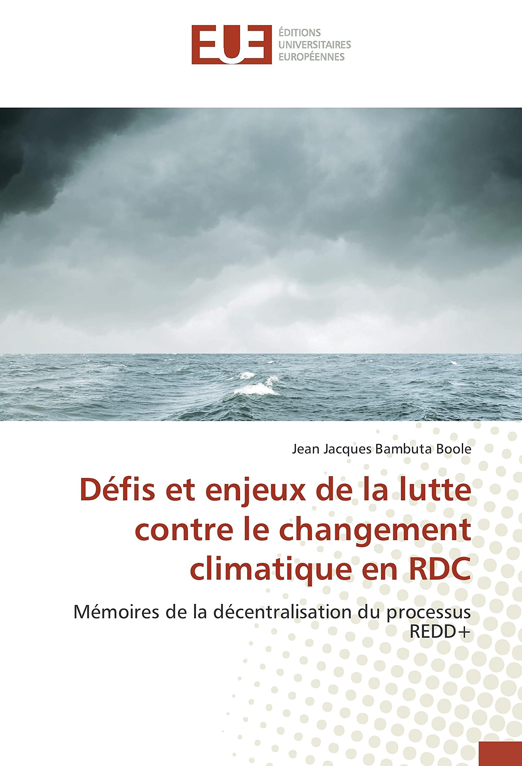 Défis et enjeux de la lutte contre le changement climatique en RDC: Mémoires de la décentralisation du processus REDD+ book