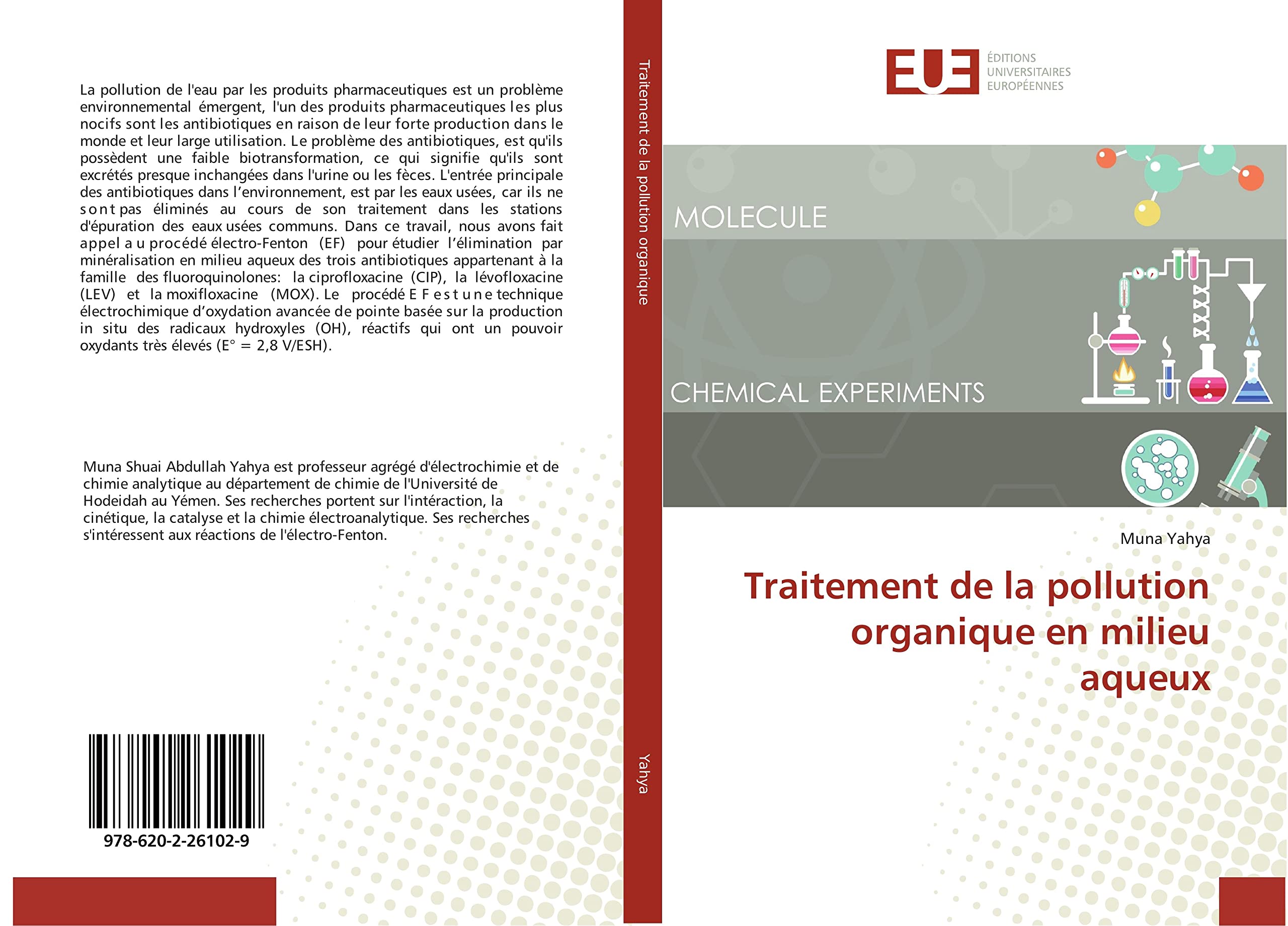 Traitement de la pollution organique en milieu aqueux book