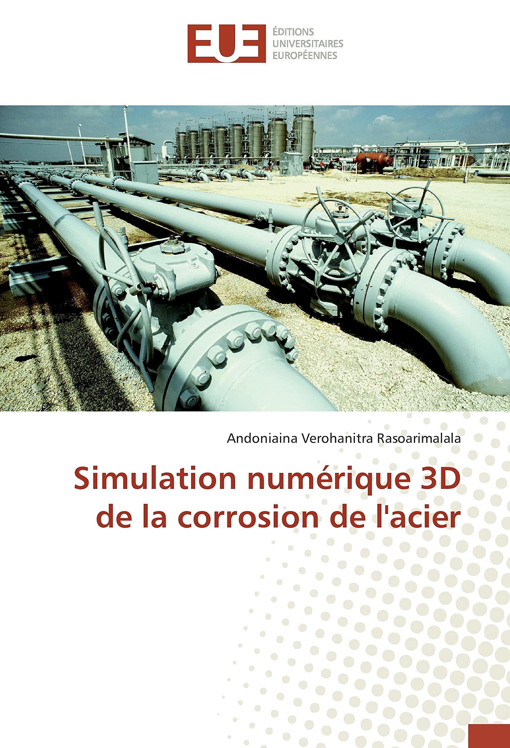 Simulation numérique 3D de la corrosion de l'acier book