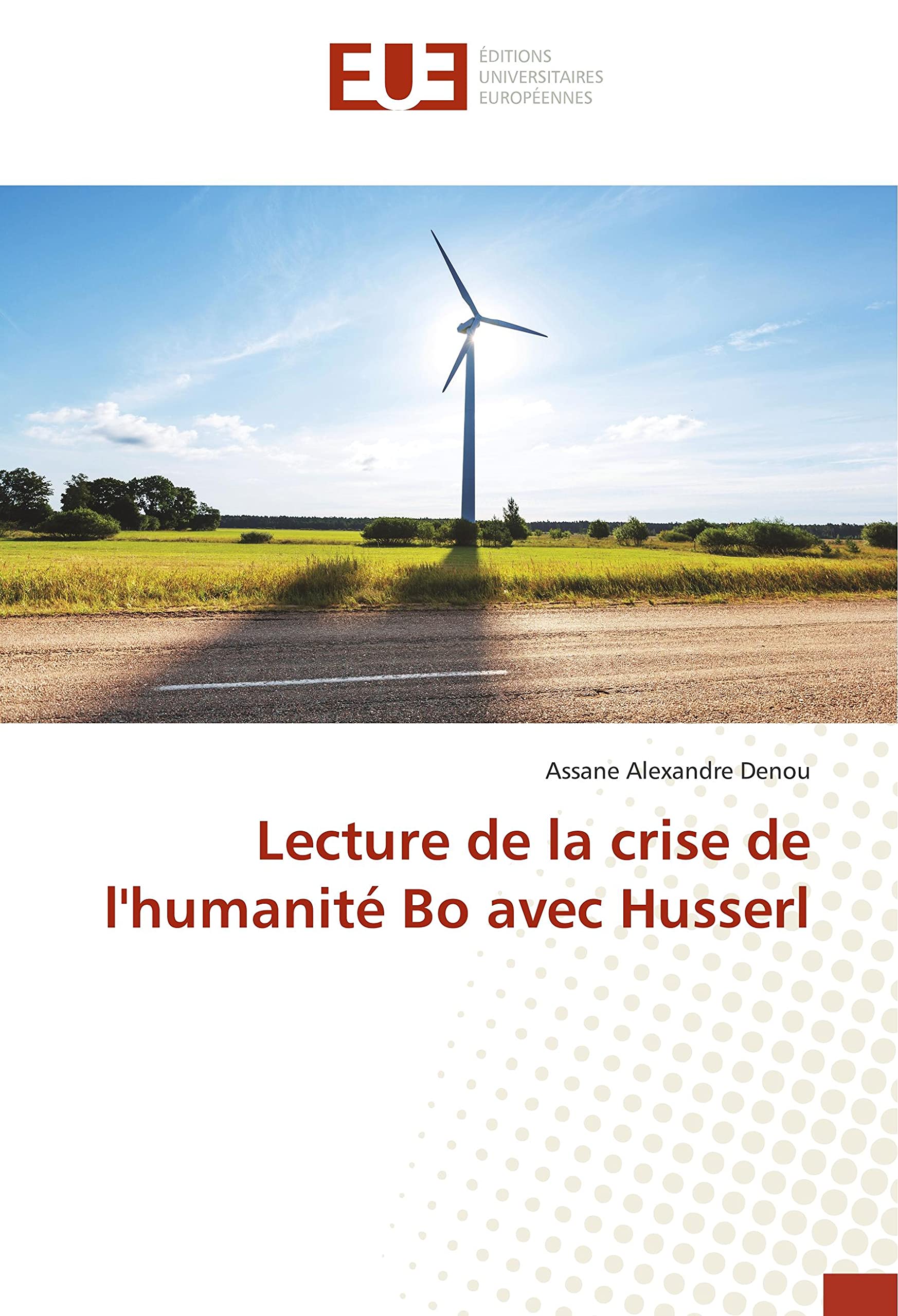 Lecture de la crise de l'humanité Bo avec Husserl book