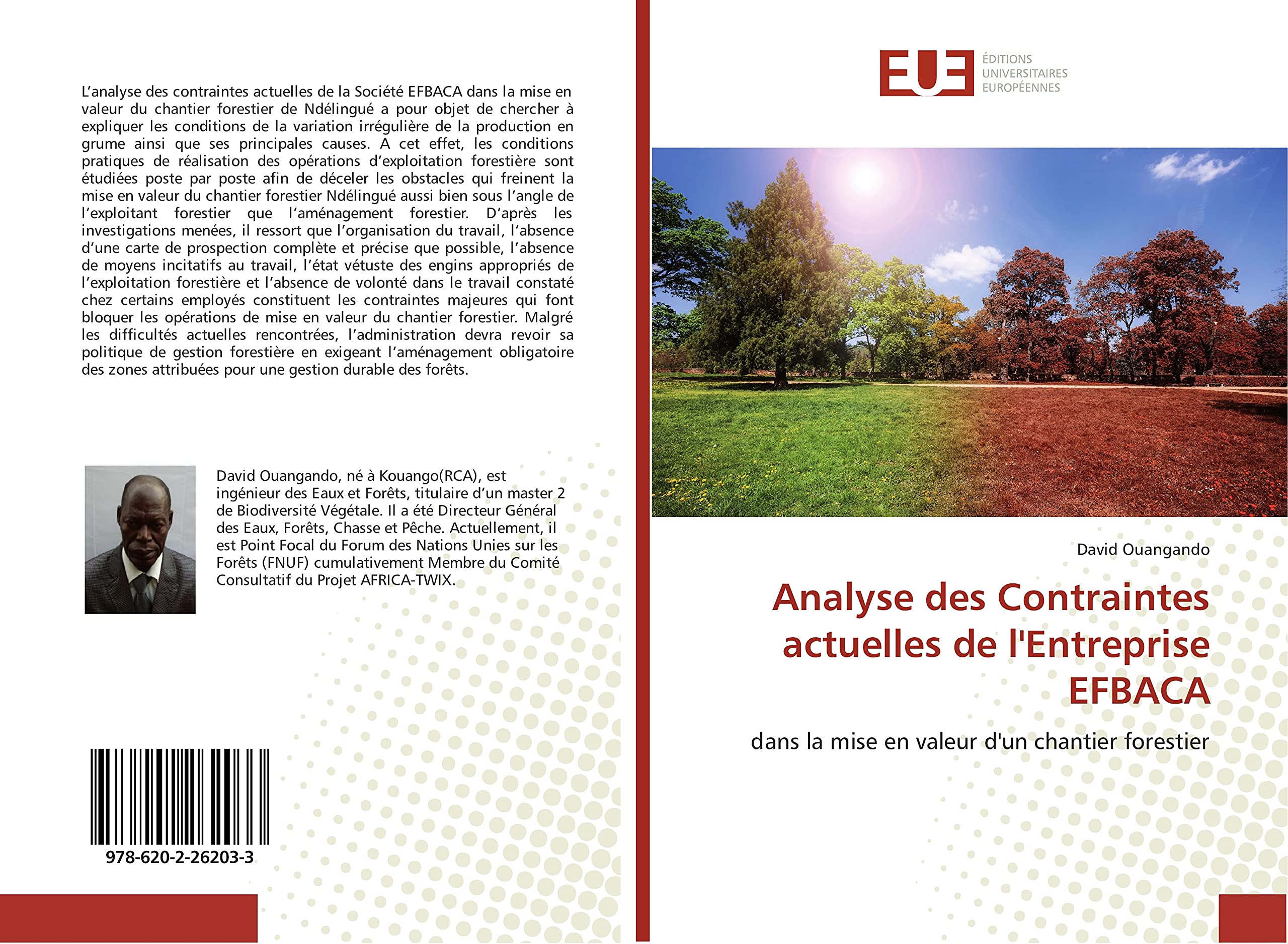 Analyse des Contraintes actuelles de l'entreprise eFBACA: Dans la mise en valeur d'un chantier forestier book