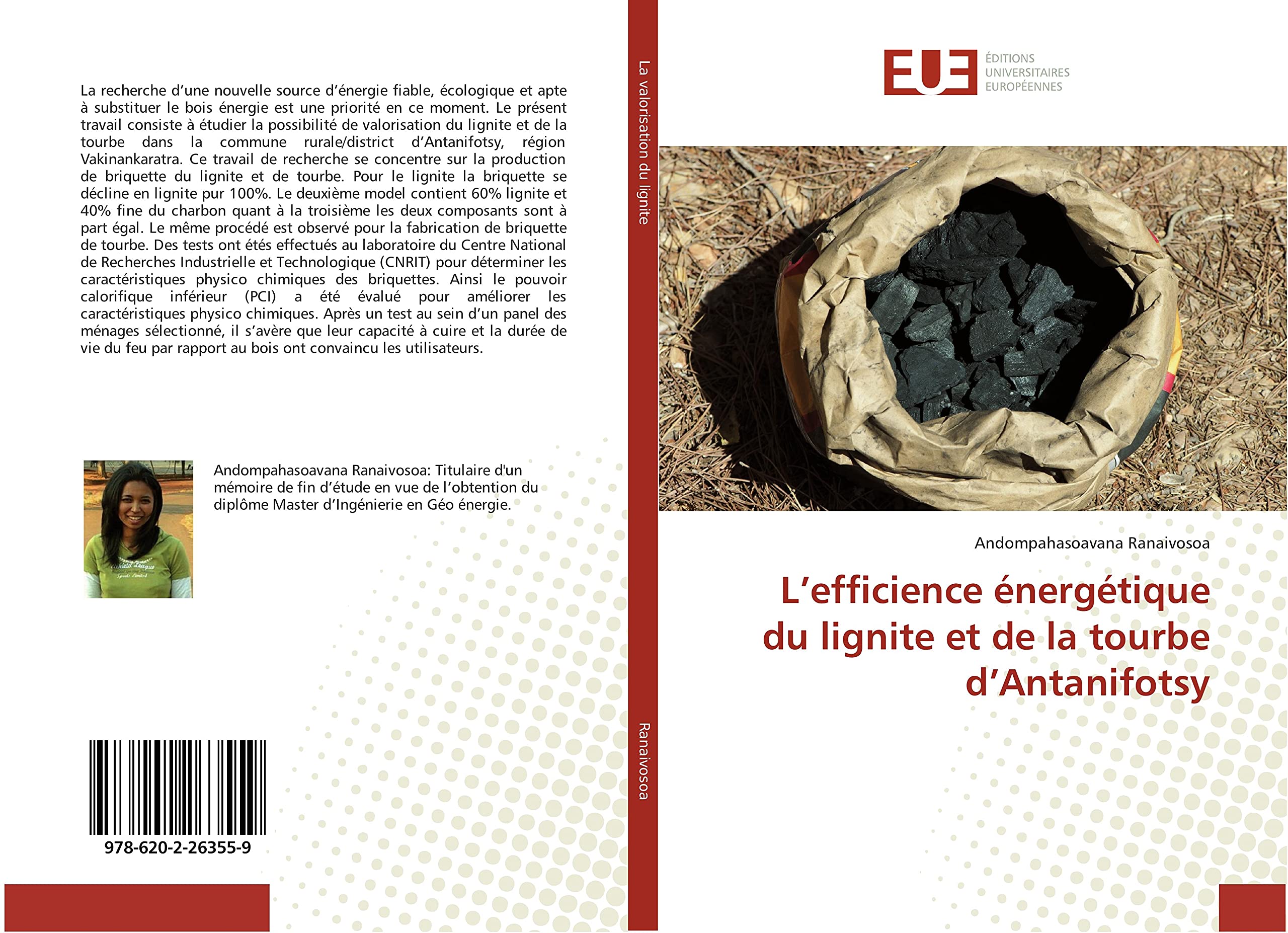 L’efficience énergétique du lignite et de la tourbe d’Antanifotsy book