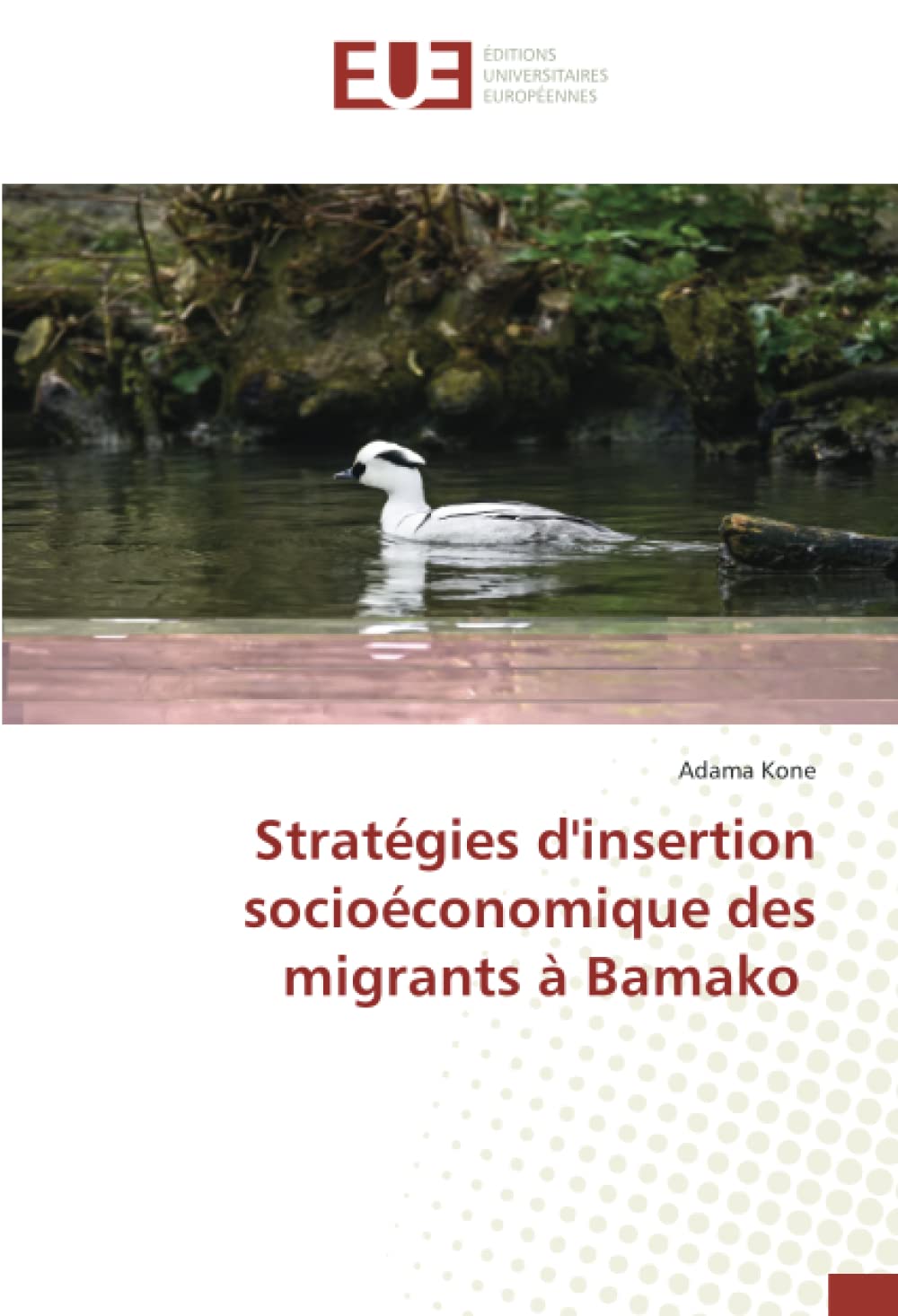 Stratégies d'insertion socioéconomique des migrants à Bamako book