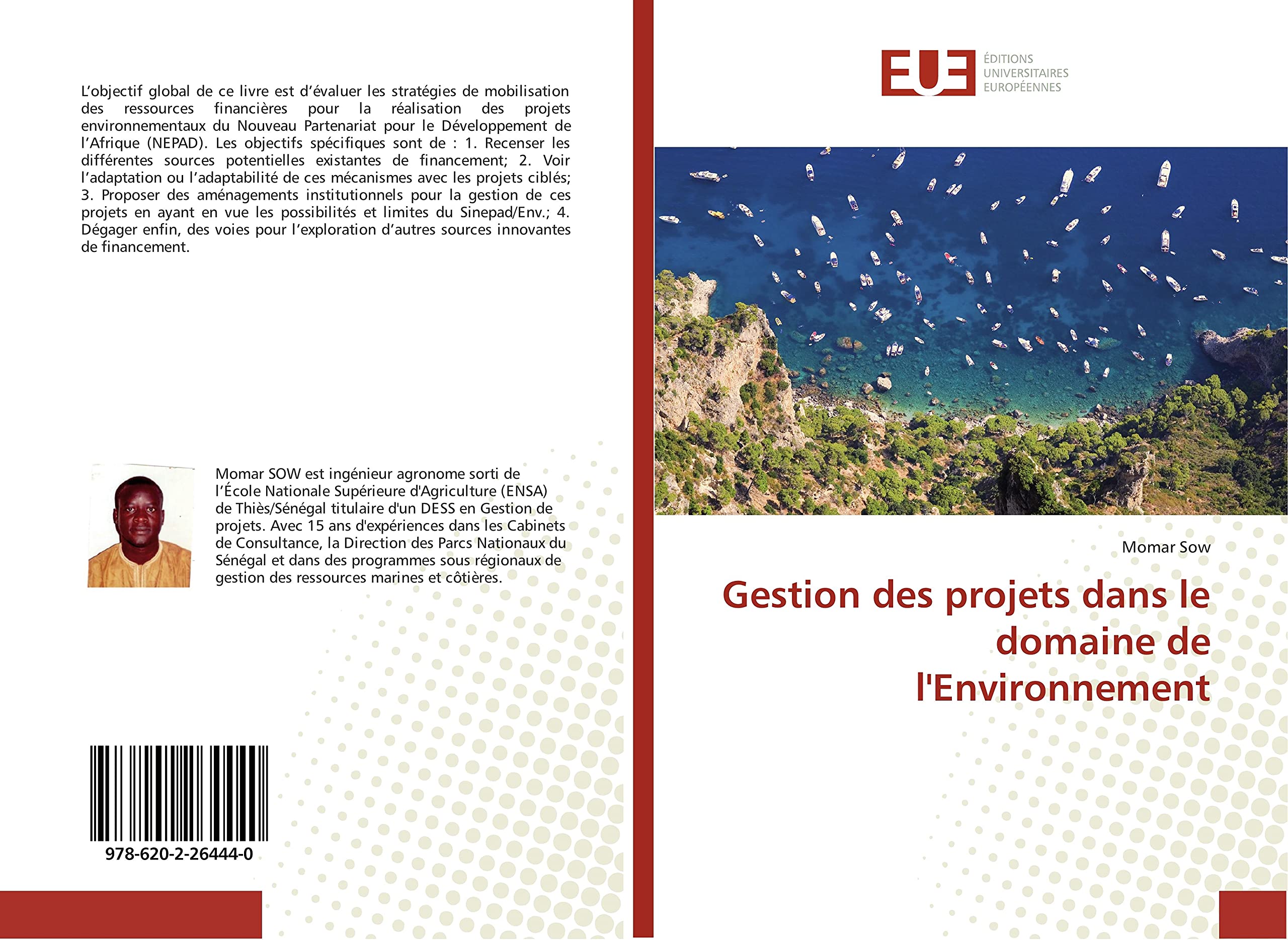 Gestion des projets dans le domaine de l'Environnement book