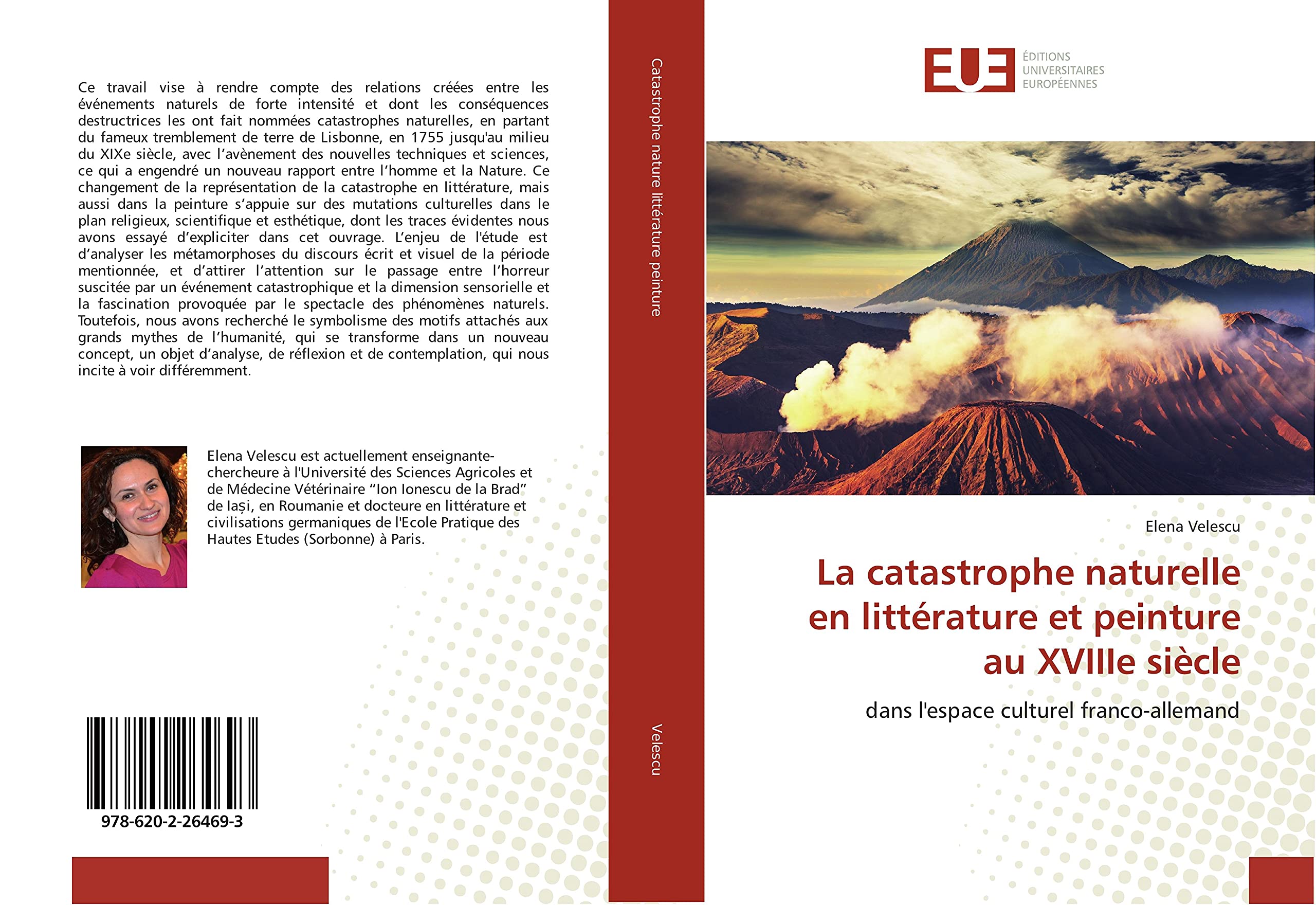 La catastrophe naturelle en littérature et peinture au XVIIIe siècle: dans l'espace culturel franco-allemand book