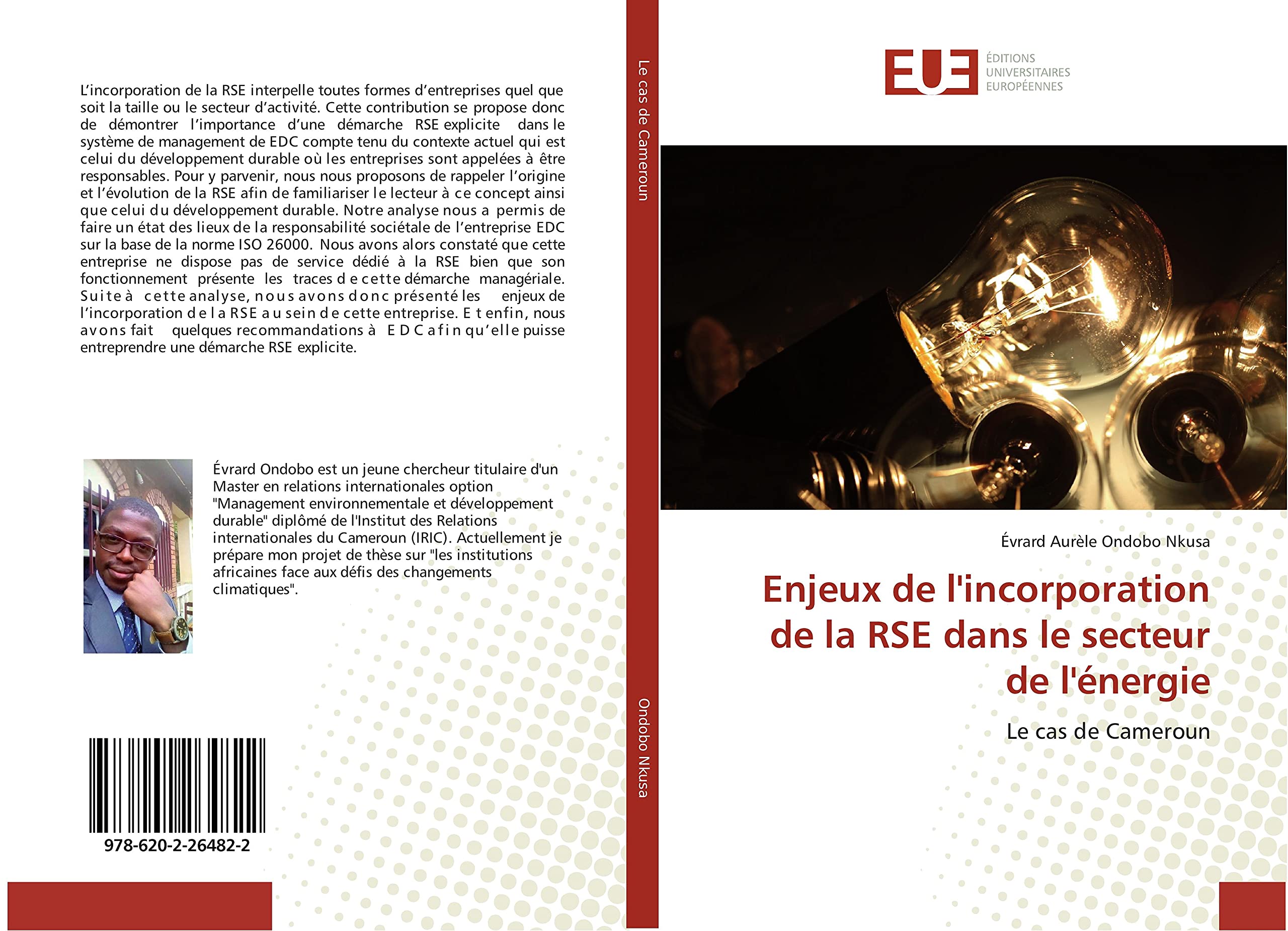 Enjeux de l'incorporation de la RSE dans le secteur de l'énergie: Le cas de Cameroun book