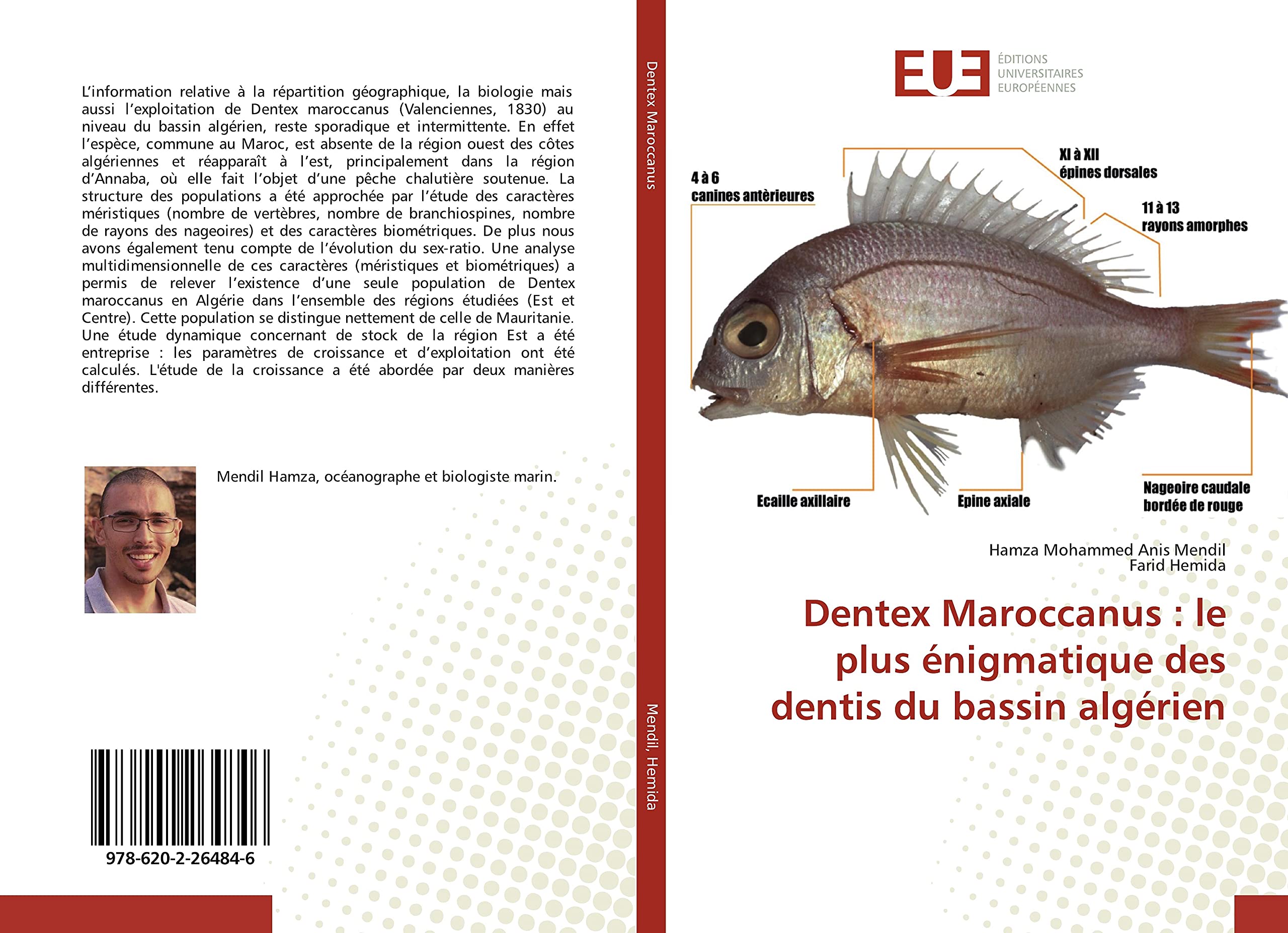 Dentex Maroccanus : le plus énigmatique des dentis du bassin algérien book