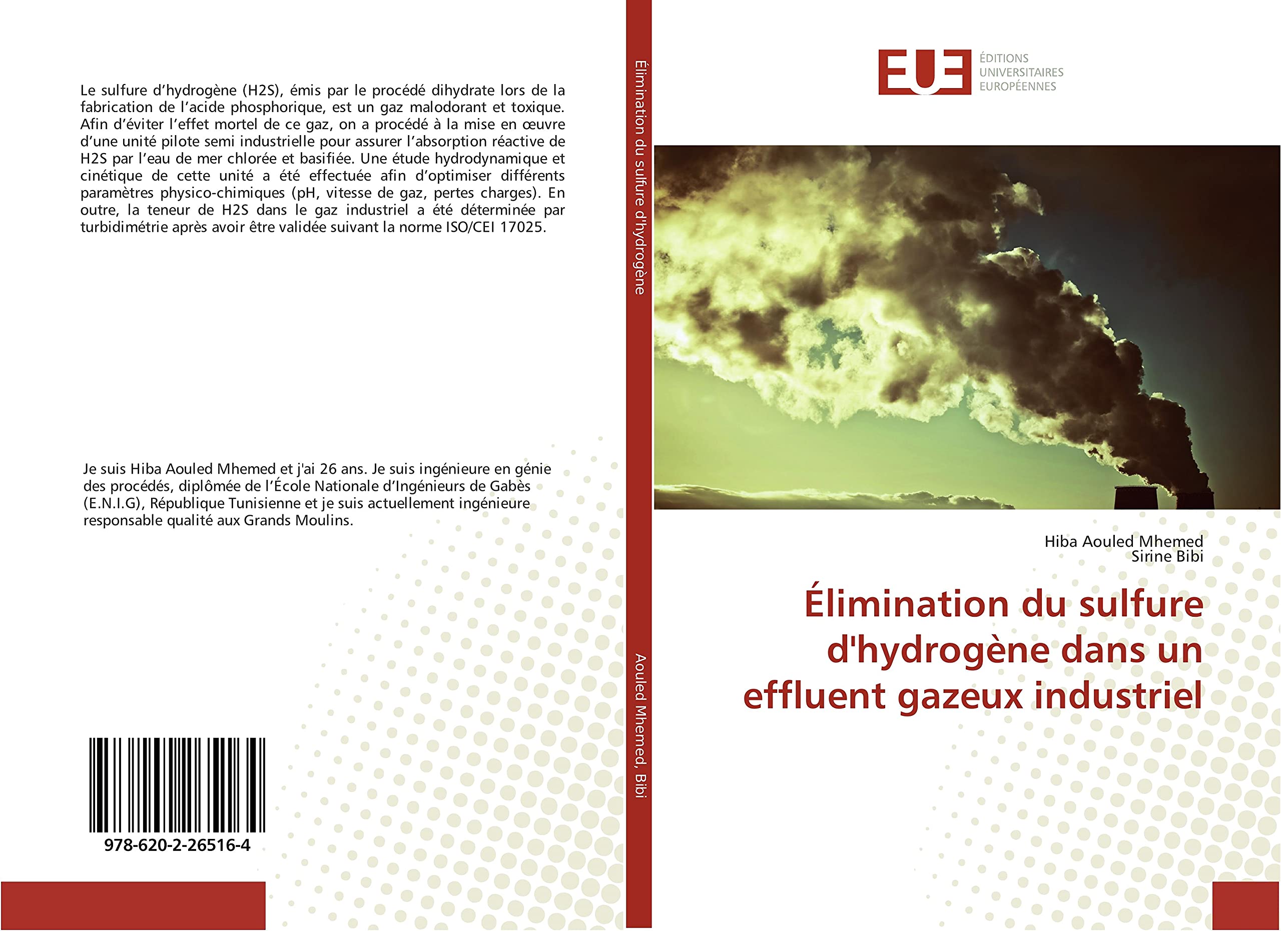 Élimination du sulfure d'hydrogène dans un effluent gazeux industriel book