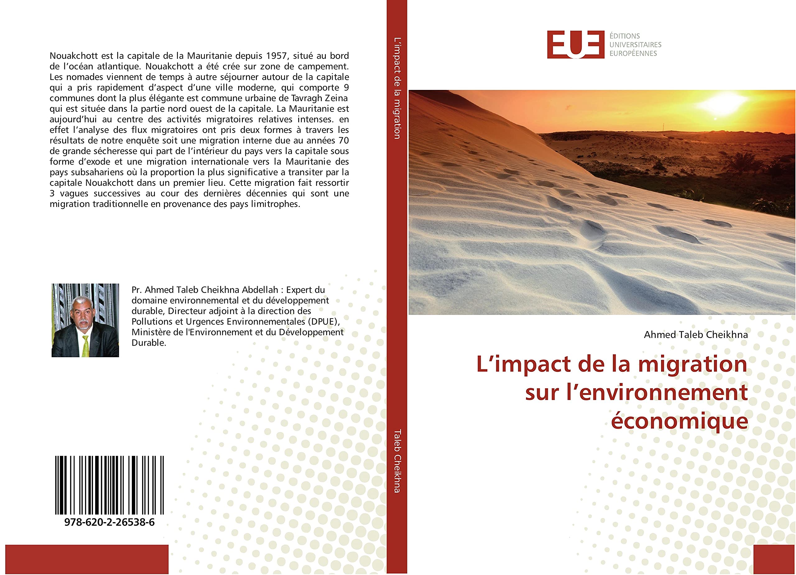 L’impact de la migration sur l’environnement économique book
