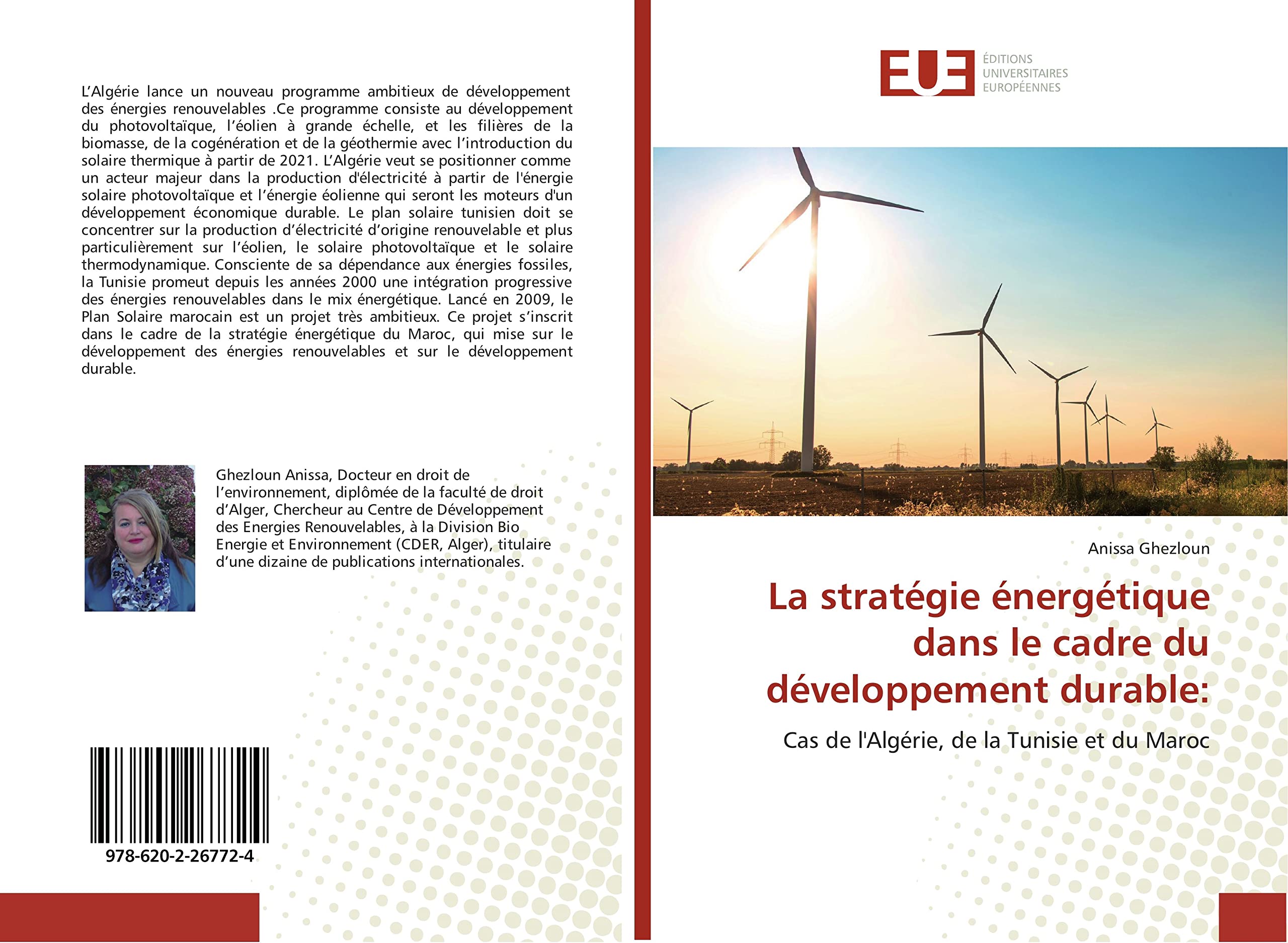 La stratégie énergétique dans le cadre du développement durable:: Cas de l'Algérie, de la Tunisie et du Maroc book