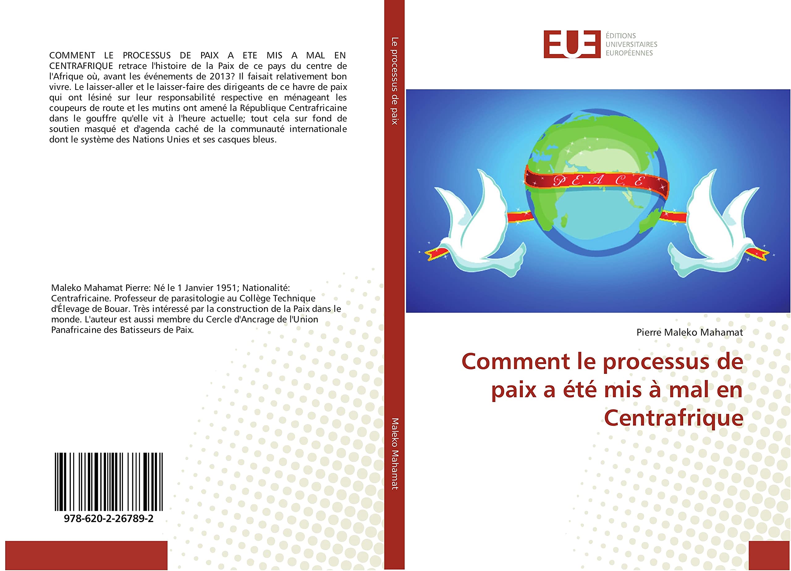 Comment le processus de paix a été mis à mal en Centrafrique book