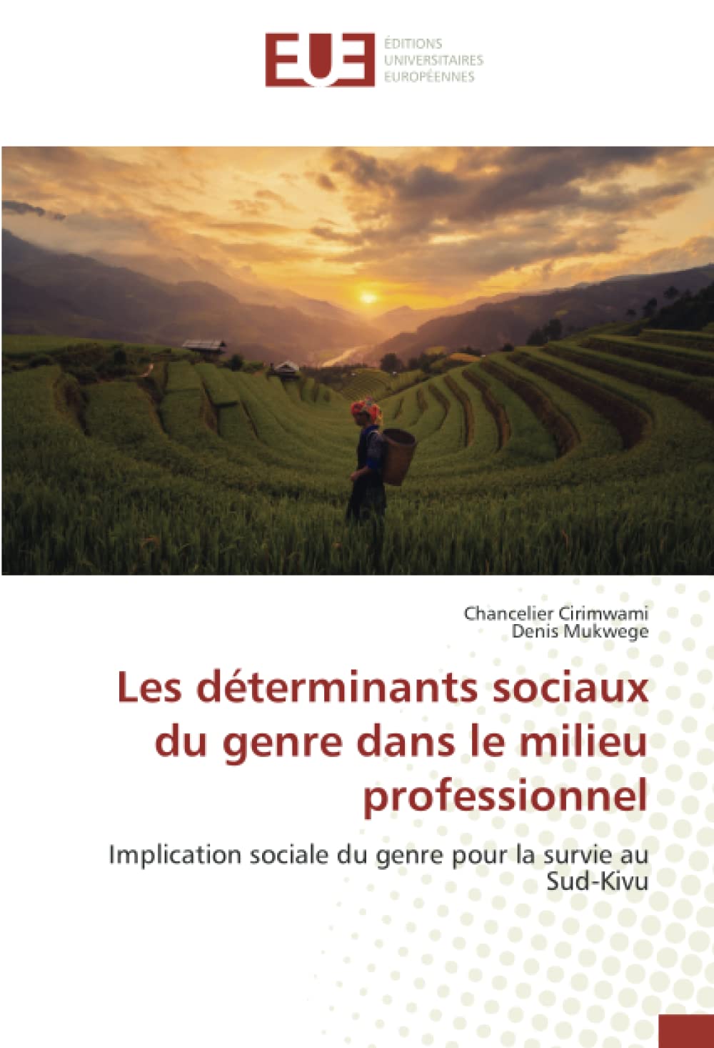 Les déterminants sociaux du genre dans le milieu professionnel: Implication sociale du genre pour la survie au Sud-Kivu book