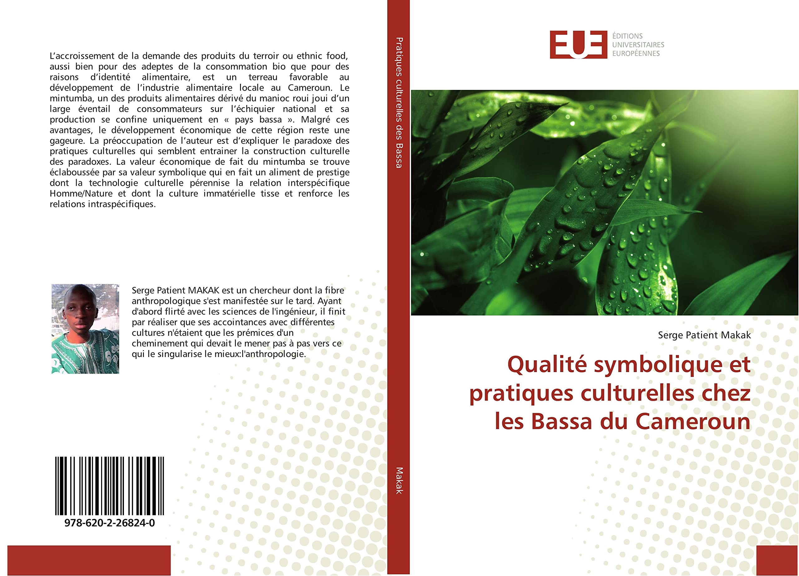 Qualité symbolique et pratiques culturelles chez les Bassa du Cameroun book