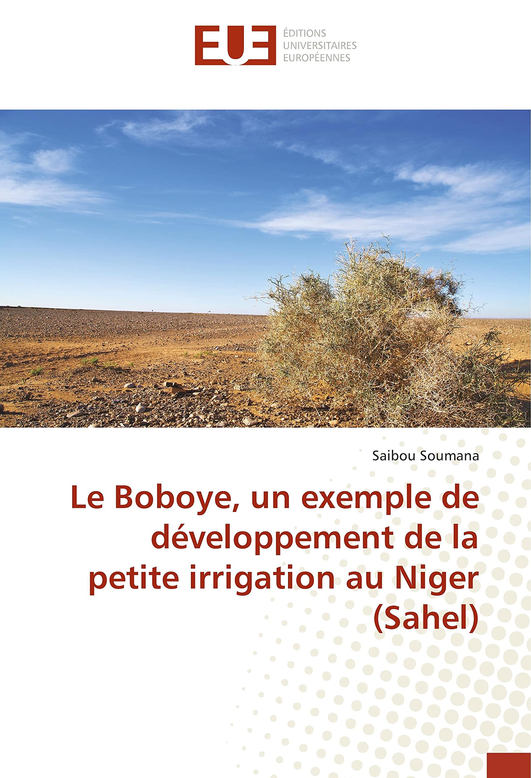 Le Boboye, un exemple de développement de la petite irrigation au Niger (Sahel) book