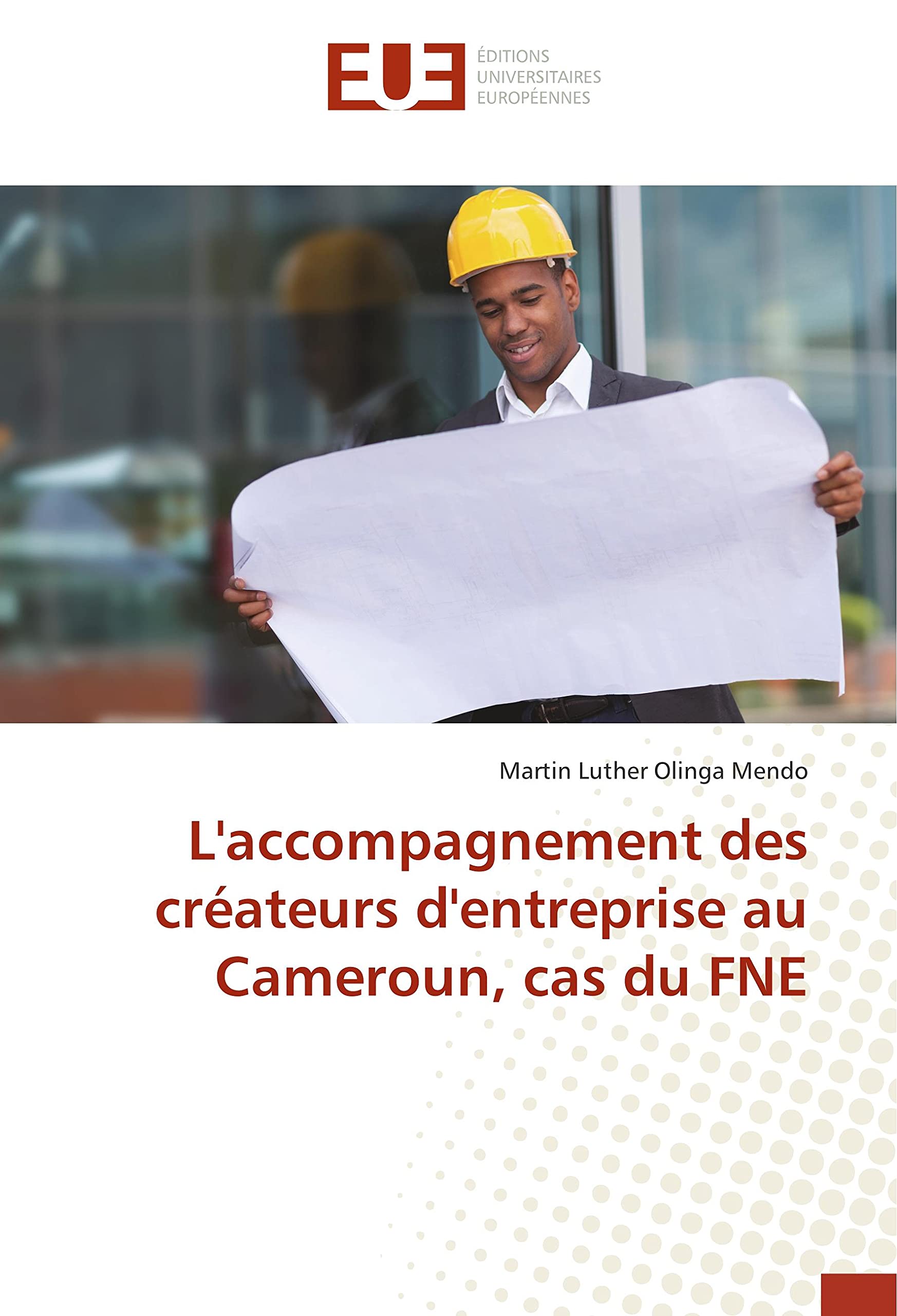 L'accompagnement des créateurs d'entreprise au Cameroun, cas du FNE book