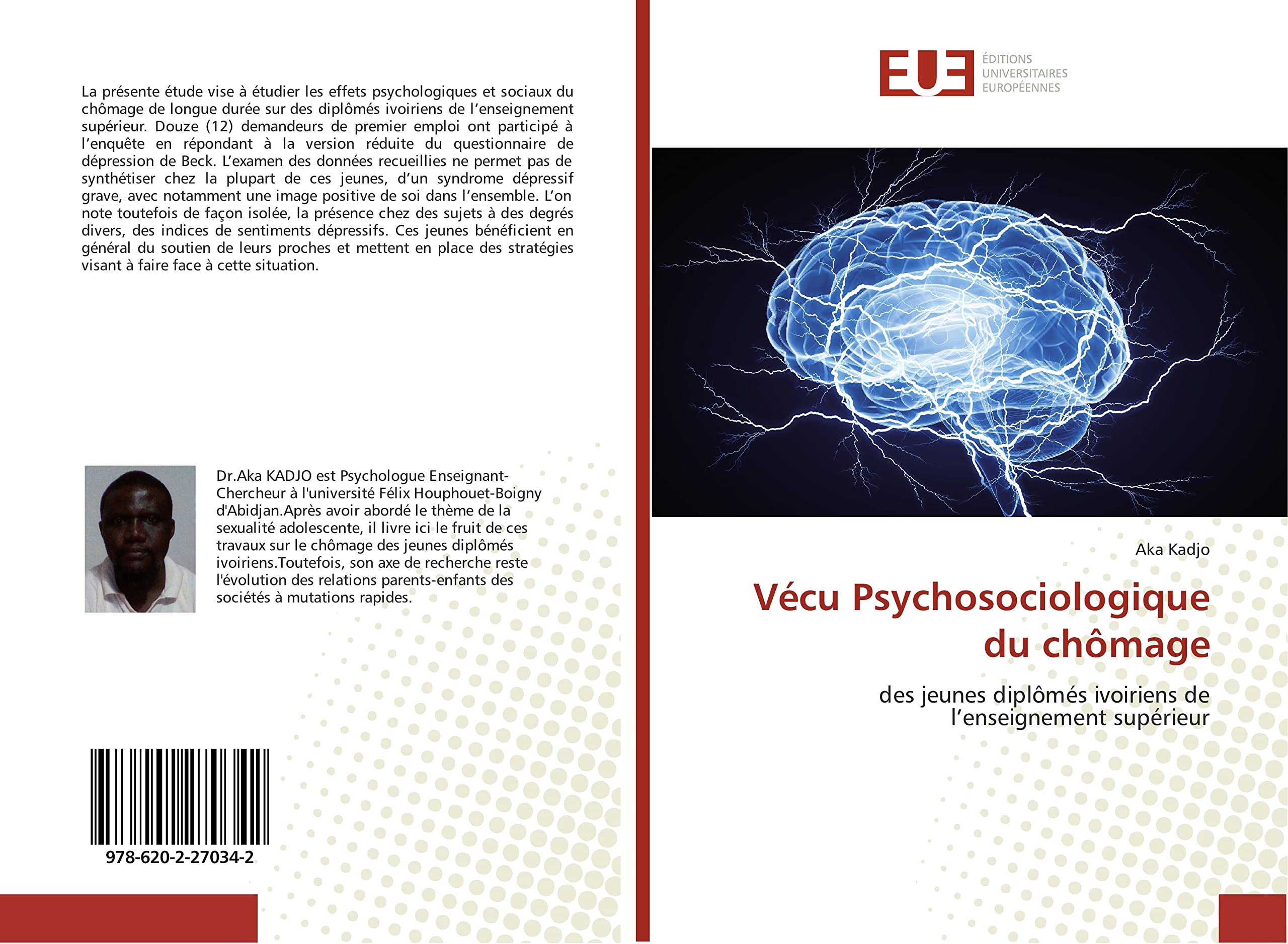 Vécu Psychosociologique du chômage: des jeunes diplômés ivoiriens de l’enseignement supérieur book