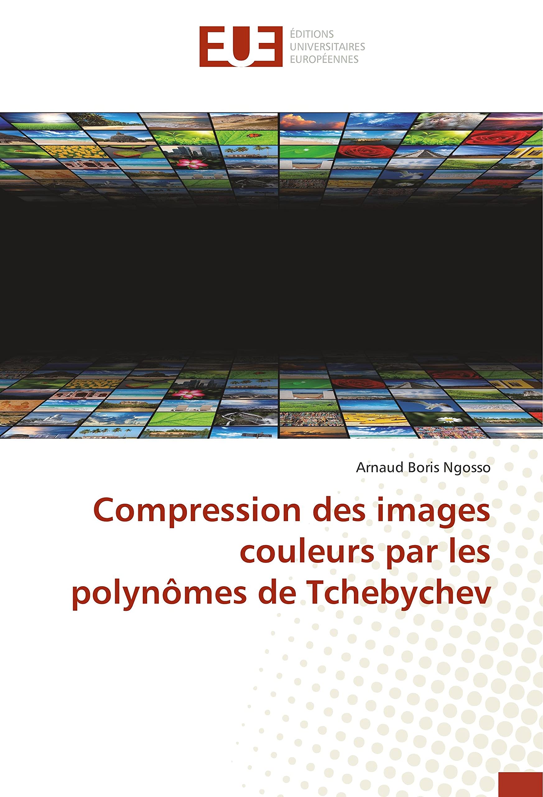 Compression des images couleurs par les polynômes de Tchebychev book