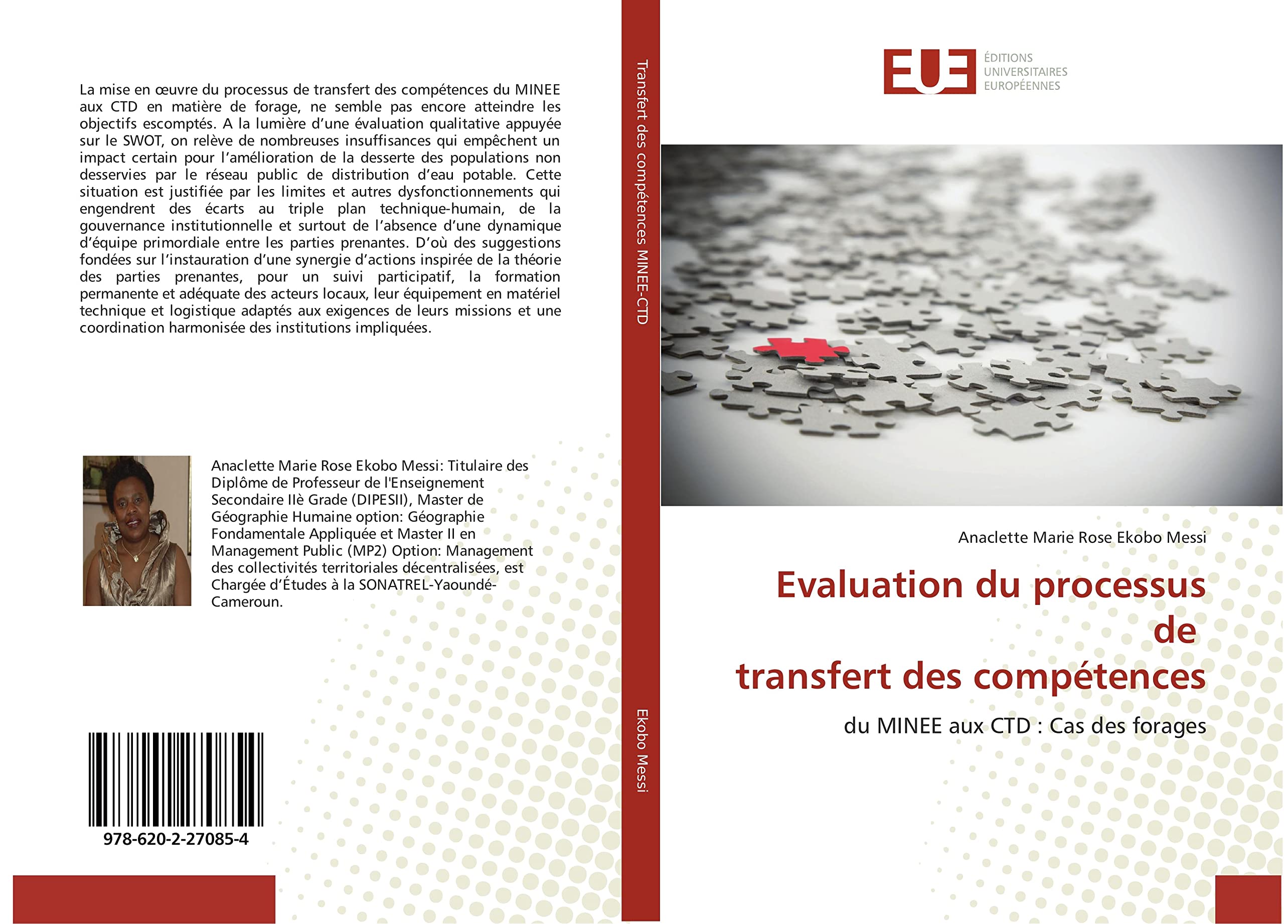 Evaluation du processus de transfert des compétences: du MINEE aux CTD : Cas des forages book