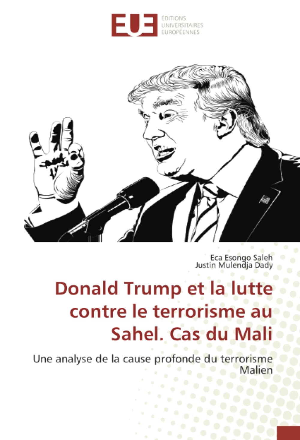 Donald Trump et la lutte contre le terrorisme au Sahel. Cas du Mali: Une analyse de la cause profonde du terrorisme Malien book