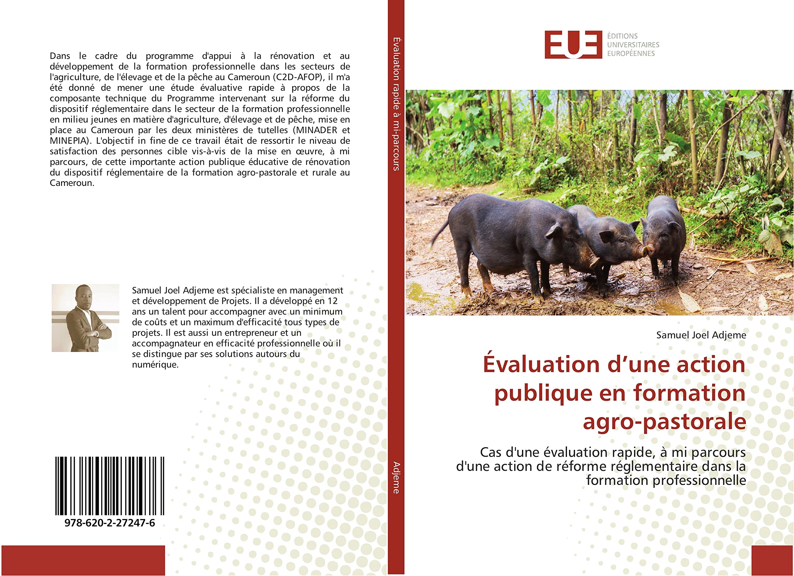 Évaluation d’une action publique en formation agro-pastorale: Cas d'une évaluation rapide, à mi parcours d'une action de réforme réglementaire dans la formation professionnelle book