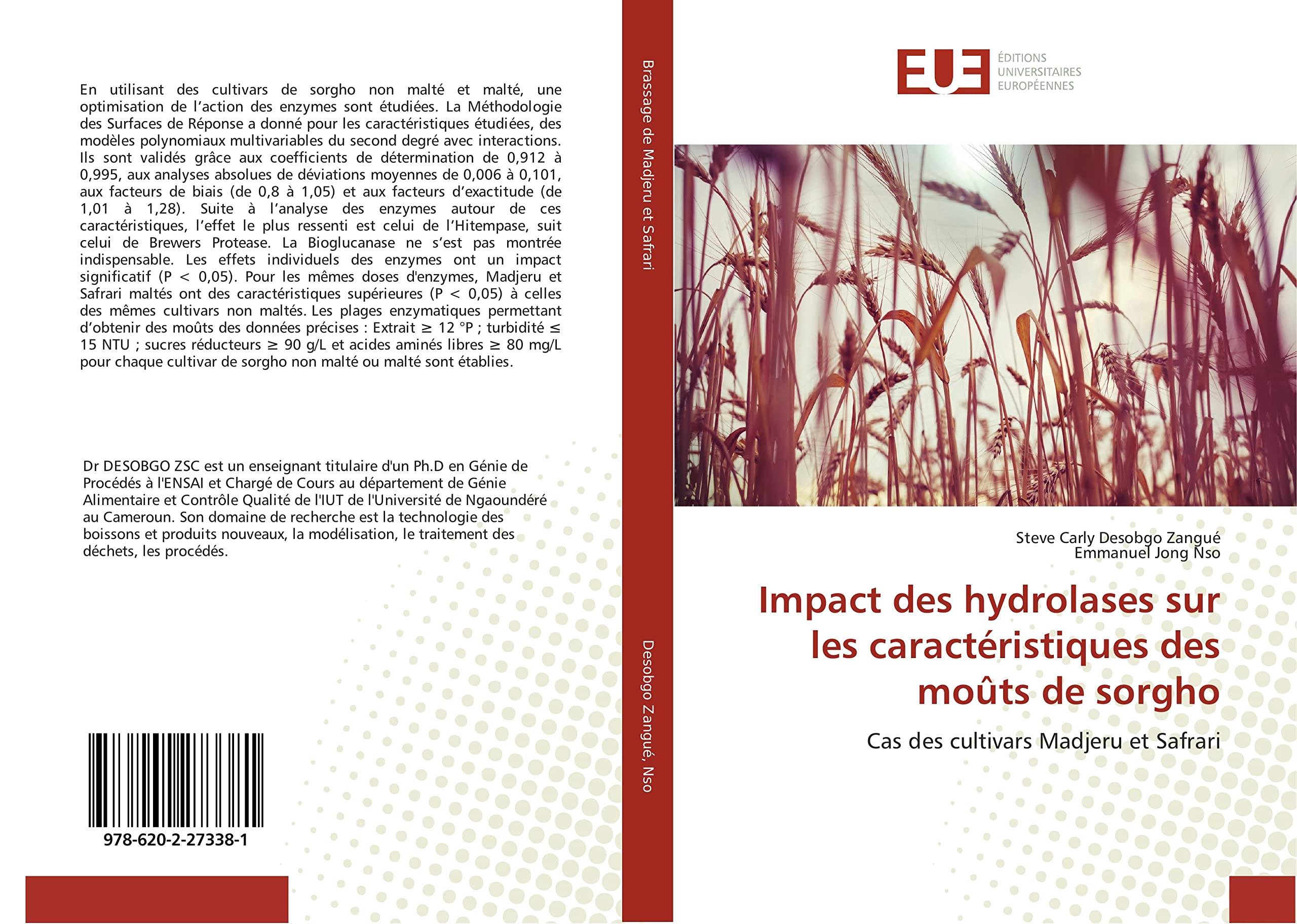 Impact des hydrolases sur les caractéristiques des moûts de sorgho book