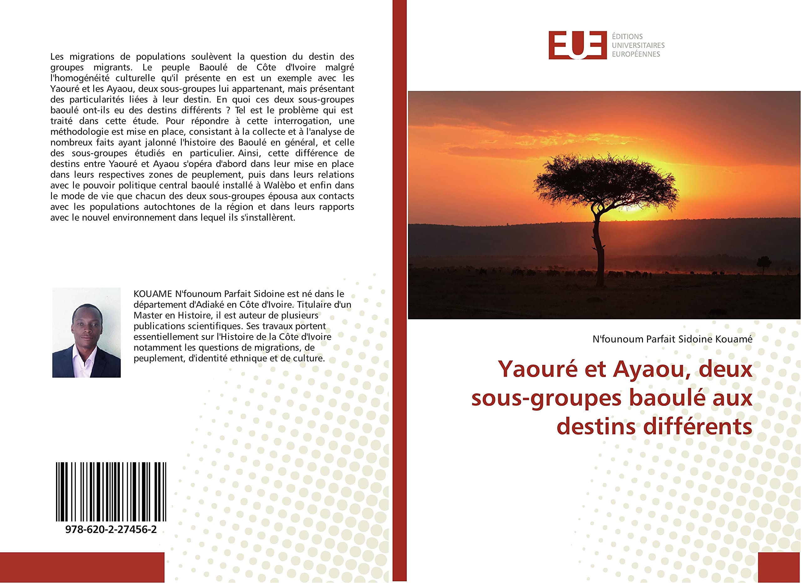 Yaouré et Ayaou, deux sous-groupes baoulé aux destins différents book