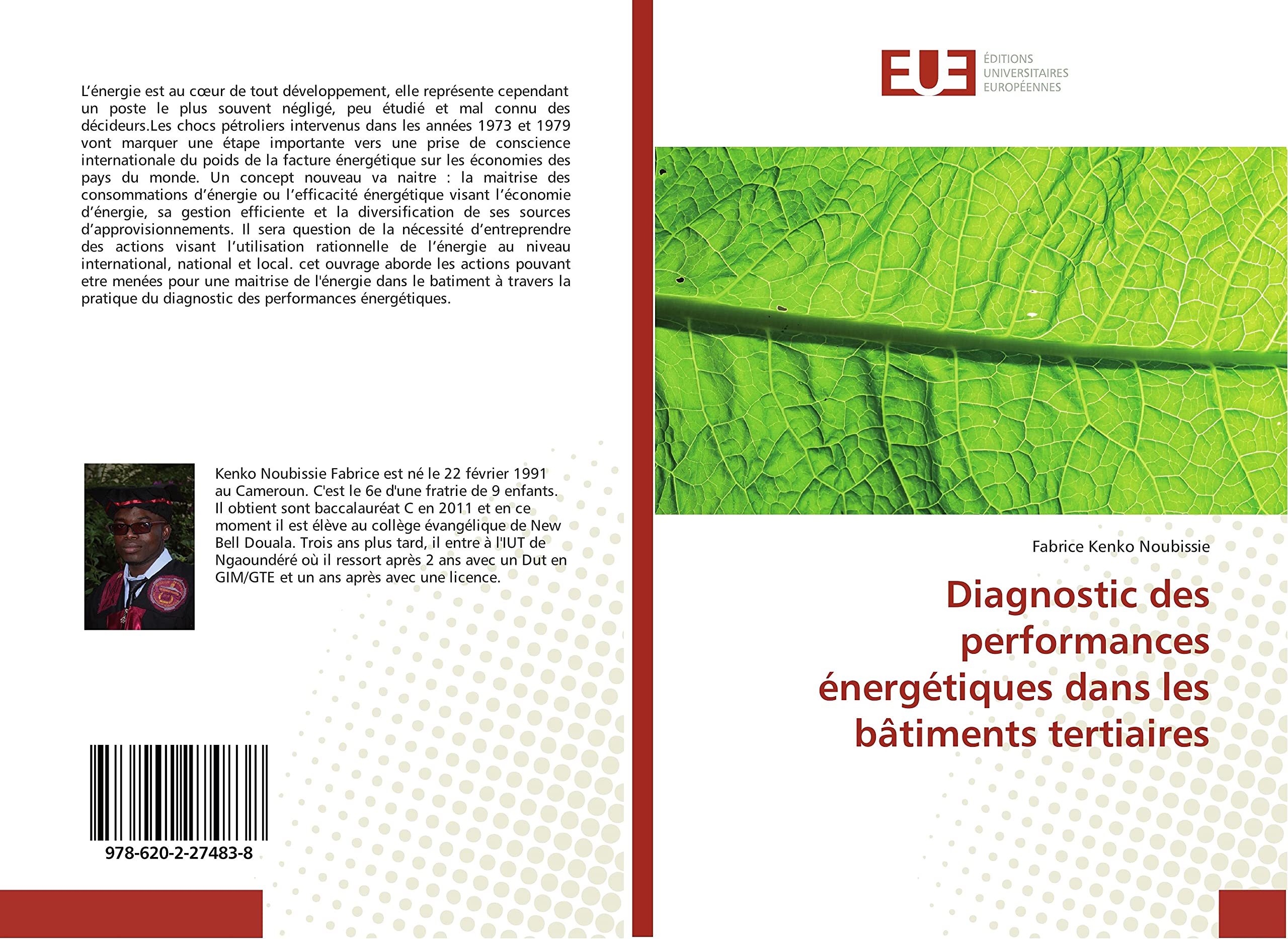 Diagnostic des performances énergétiques dans les bâtiments tertiaires book