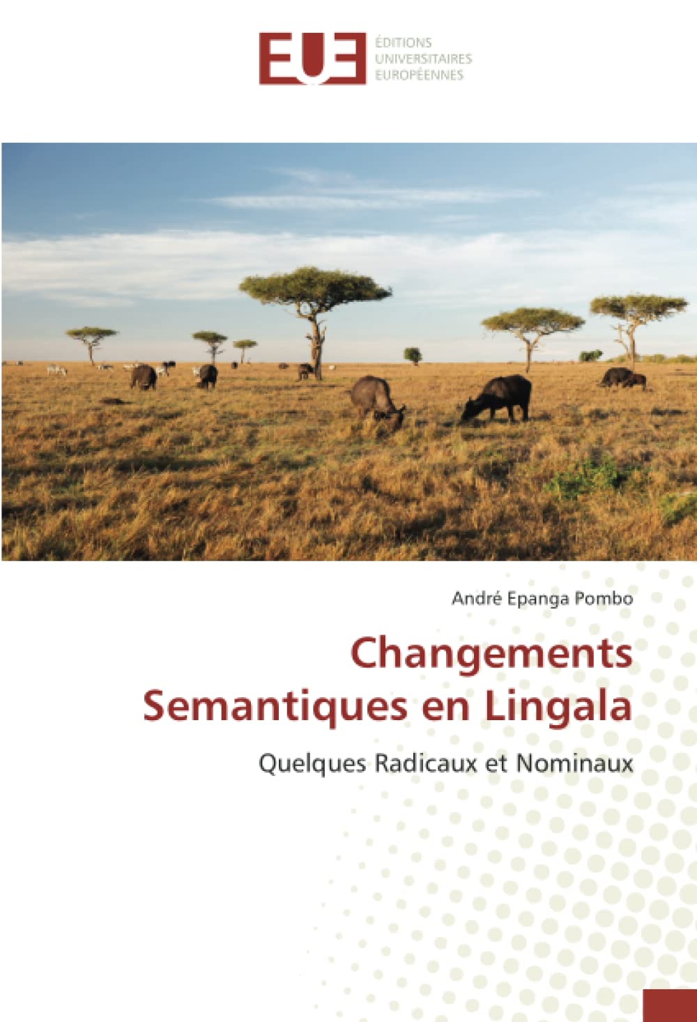 Changements Semantiques en Lingala: Quelques Radicaux et Nominaux book