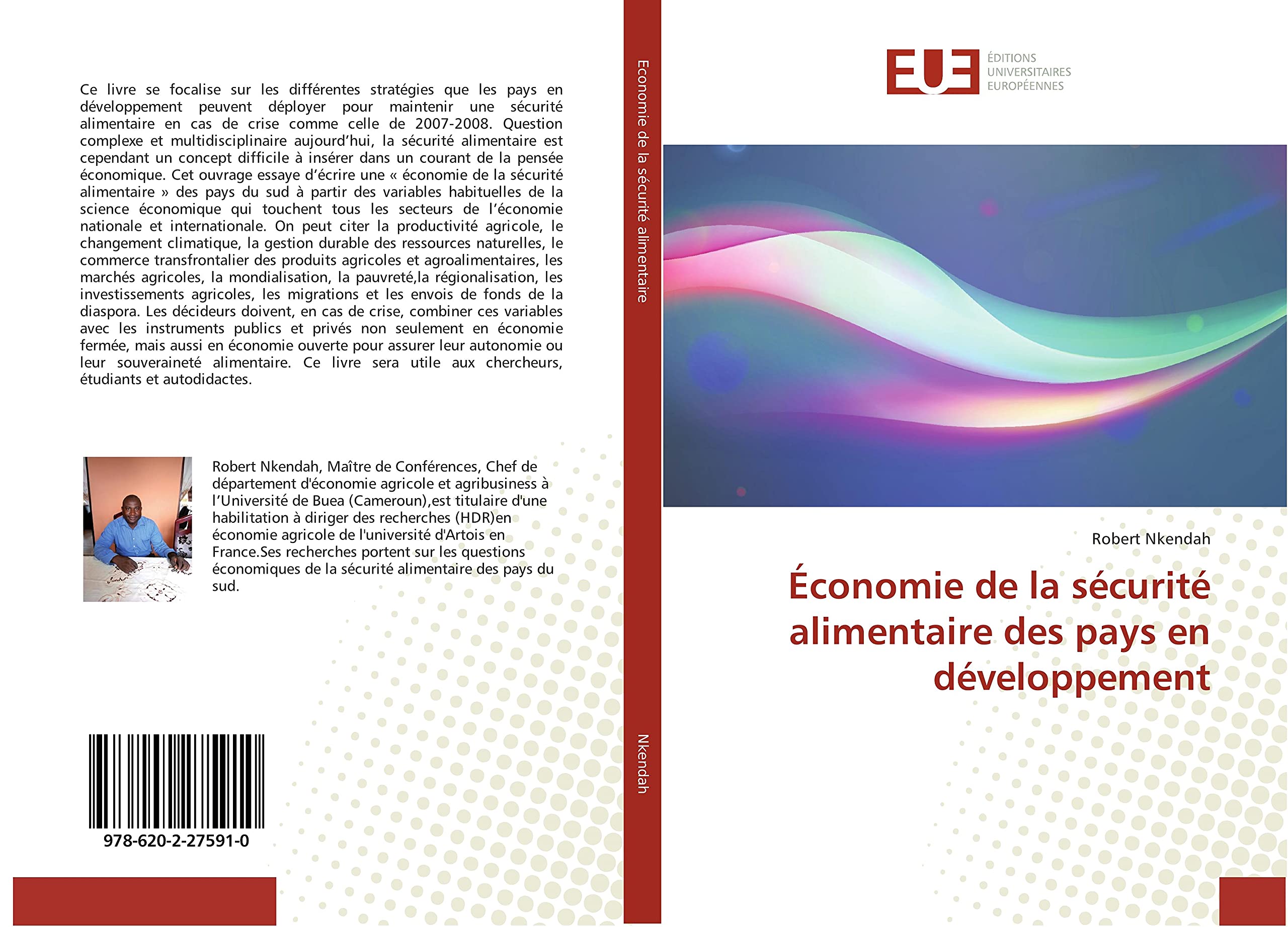 Économie de la sécurité alimentaire des pays en développement book