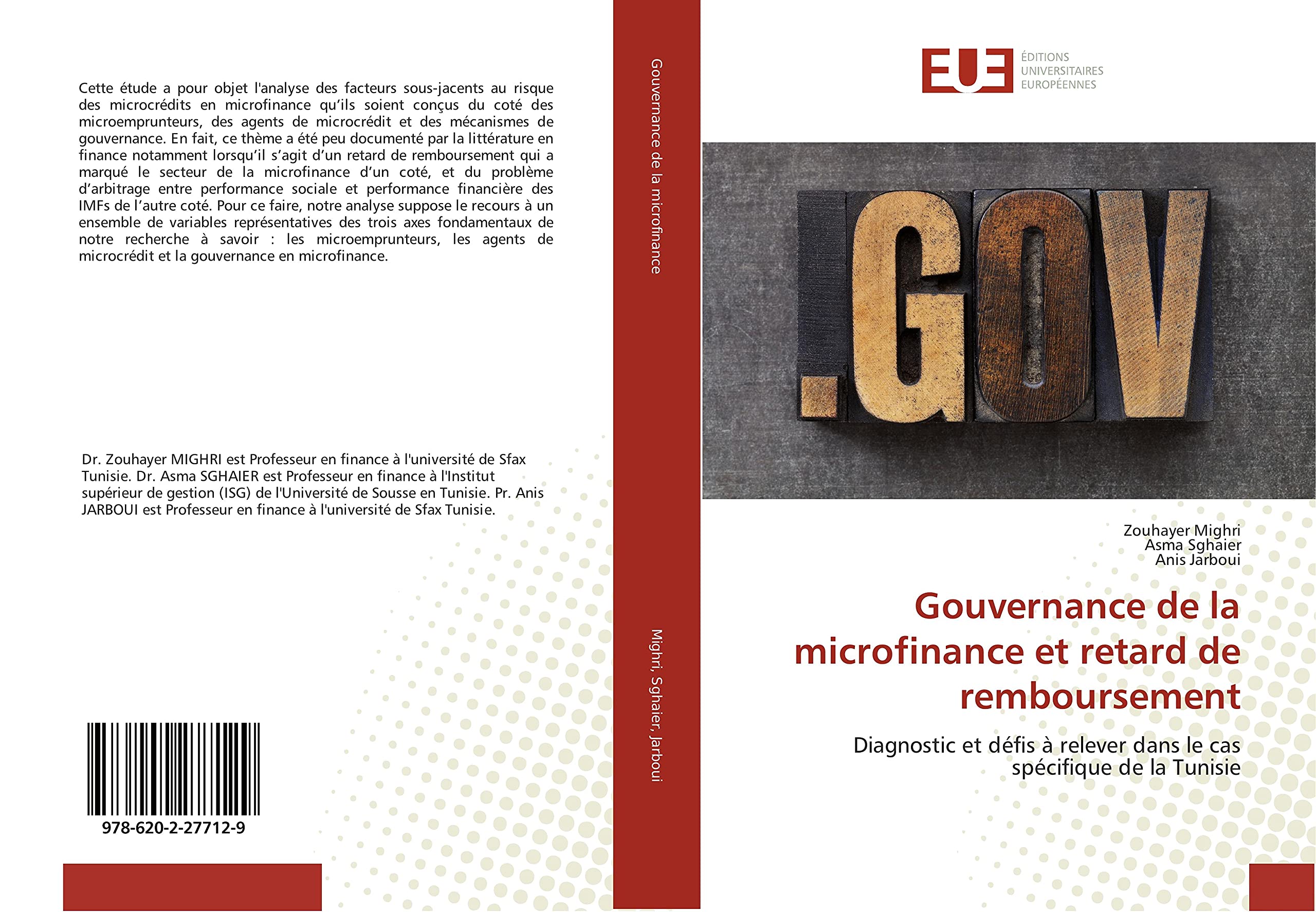 Gouvernance de la microfinance et retard de remboursement: Diagnostic et défis à relever dans le cas spécifique de la Tunisie book