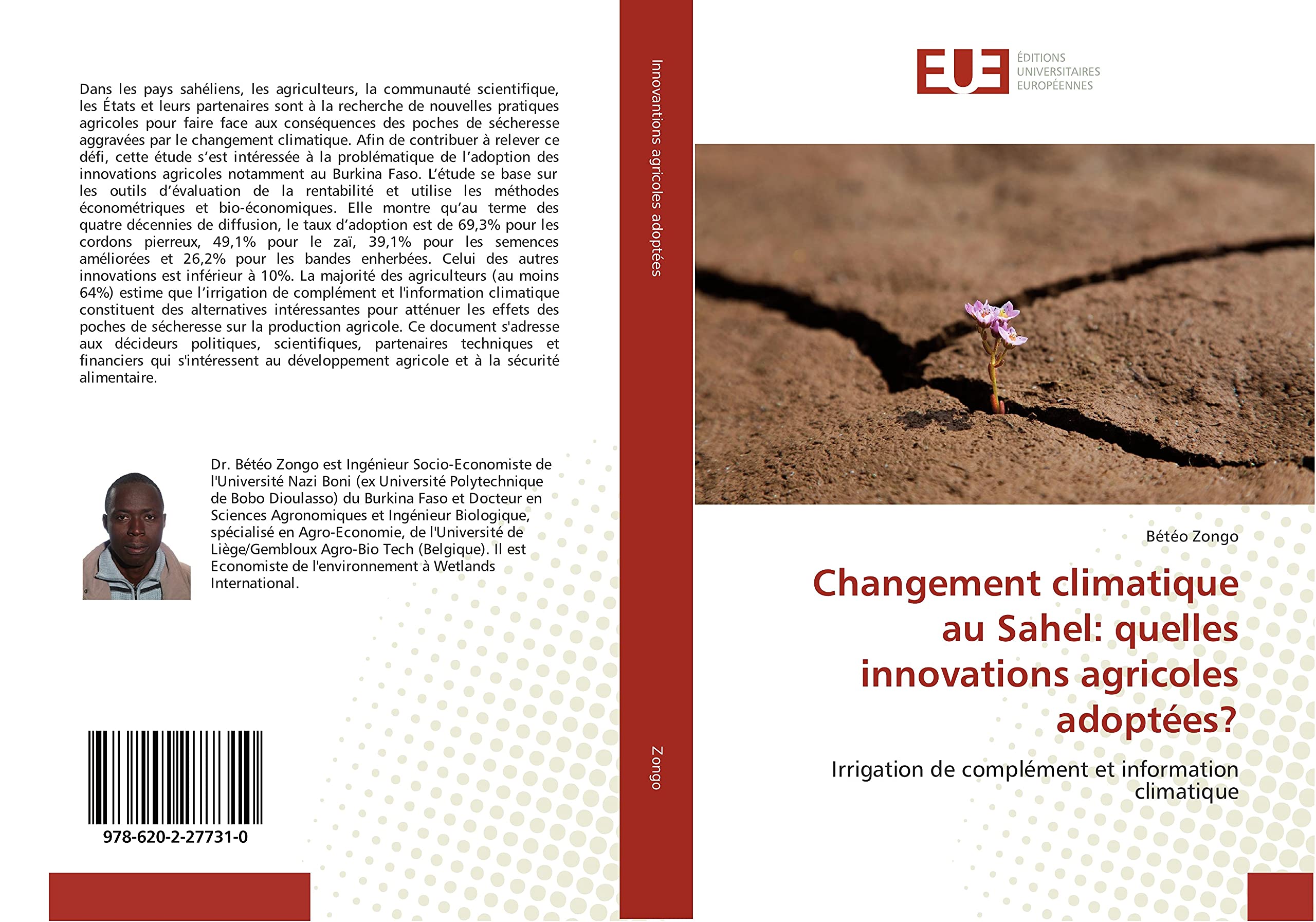 Changement climatique au Sahel: quelles innovations agricoles adoptées?: Irrigation de complément et information climatique book