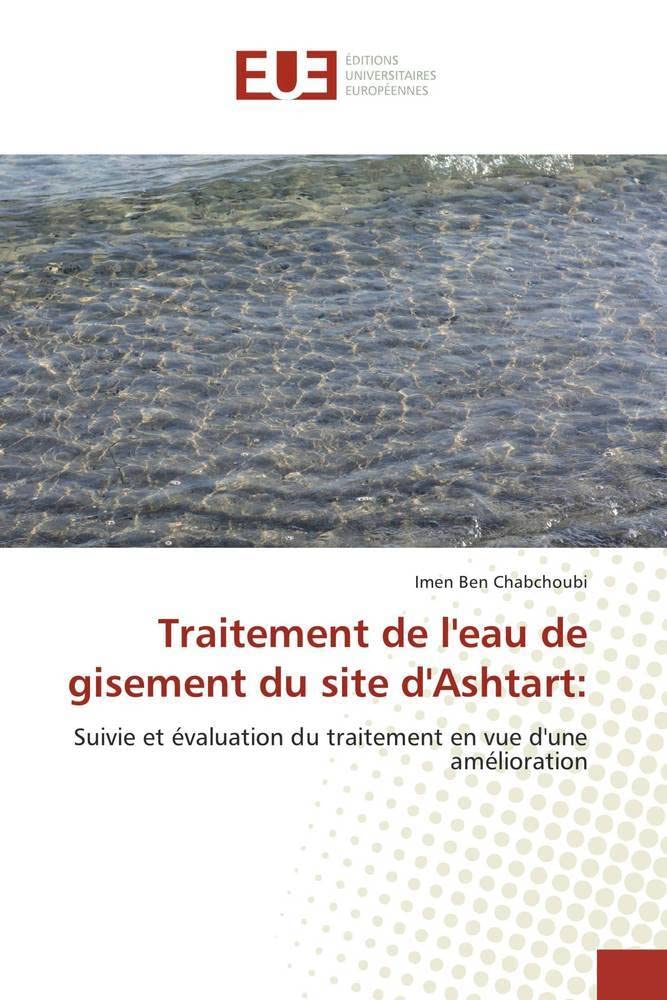 Traitement de l'eau de gisement du site d'Ashtart:: Logiques d'acteurs book