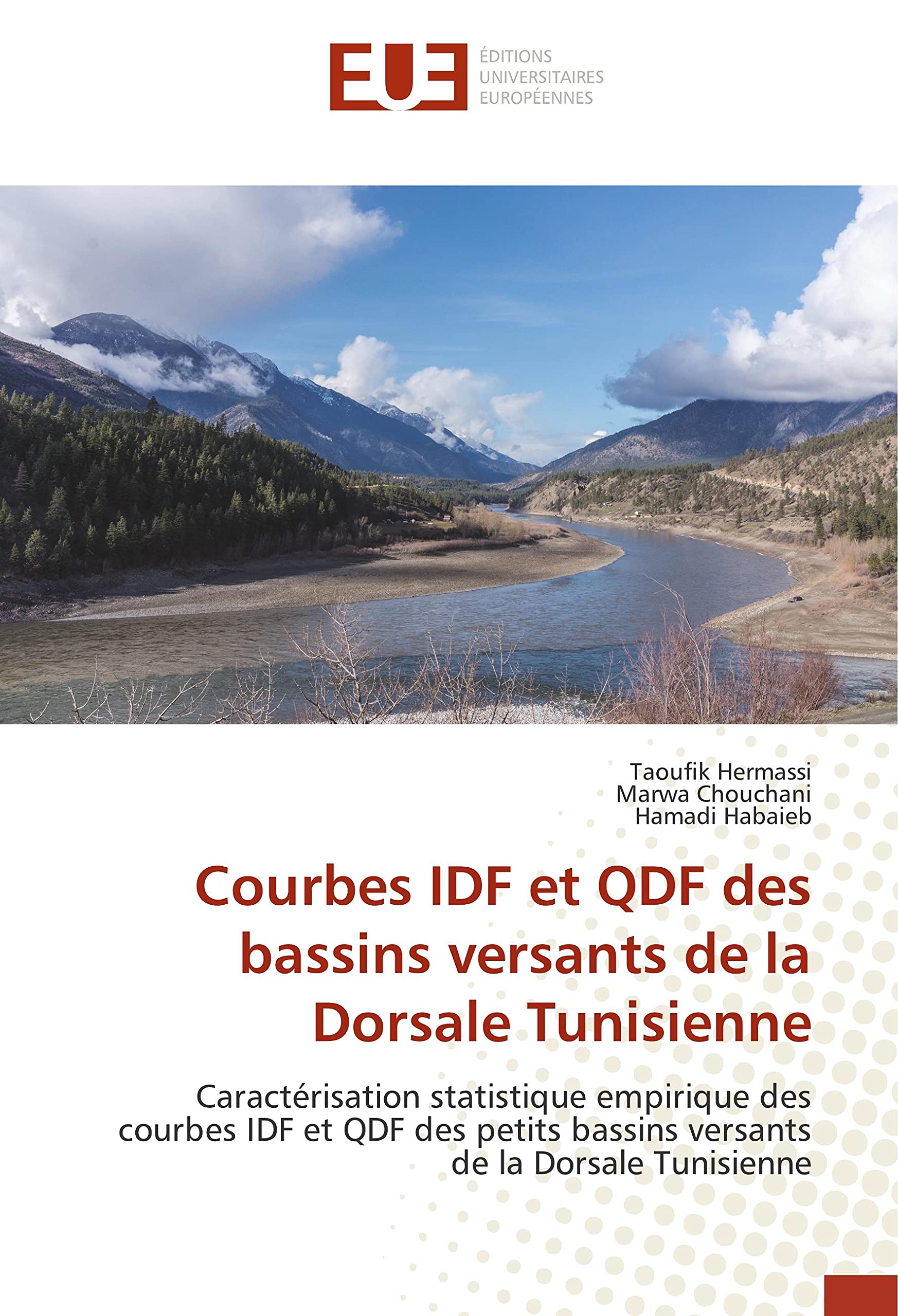 Courbes IDF et QDF des bassins versants de la Dorsale Tunisienne: Caractérisation statistique empirique des courbes IDF et QDF des petits bassins versants de la Dorsale Tunisienne book