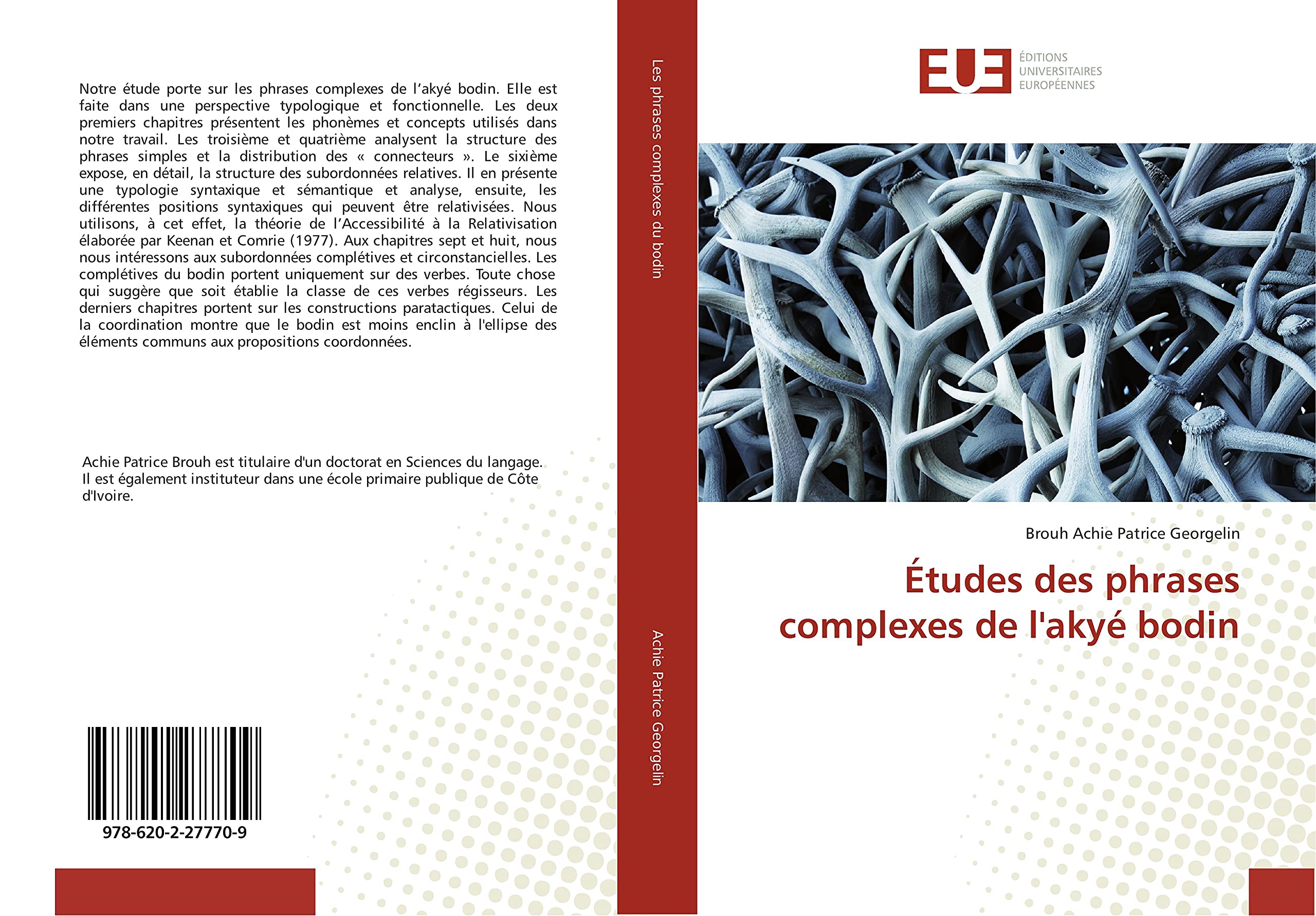 Études des phrases complexes de l'akyé bodin book