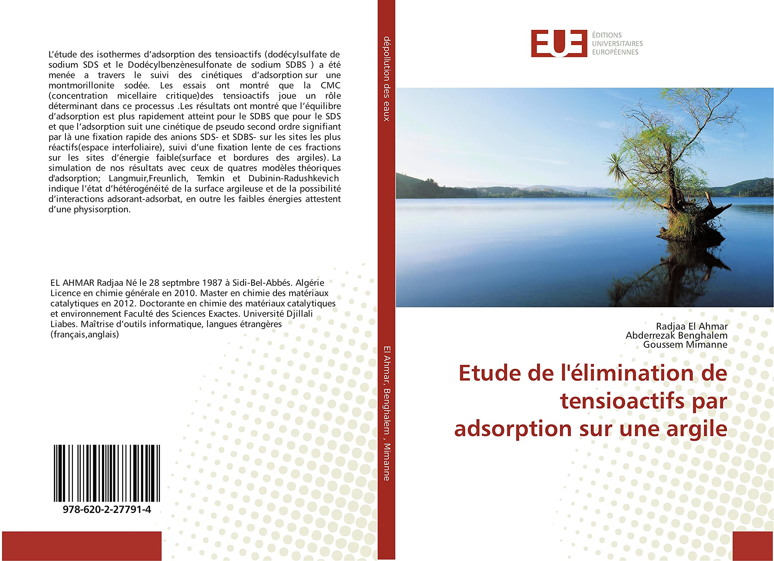 Etude de l'élimination de tensioactifs par adsorption sur une argile book