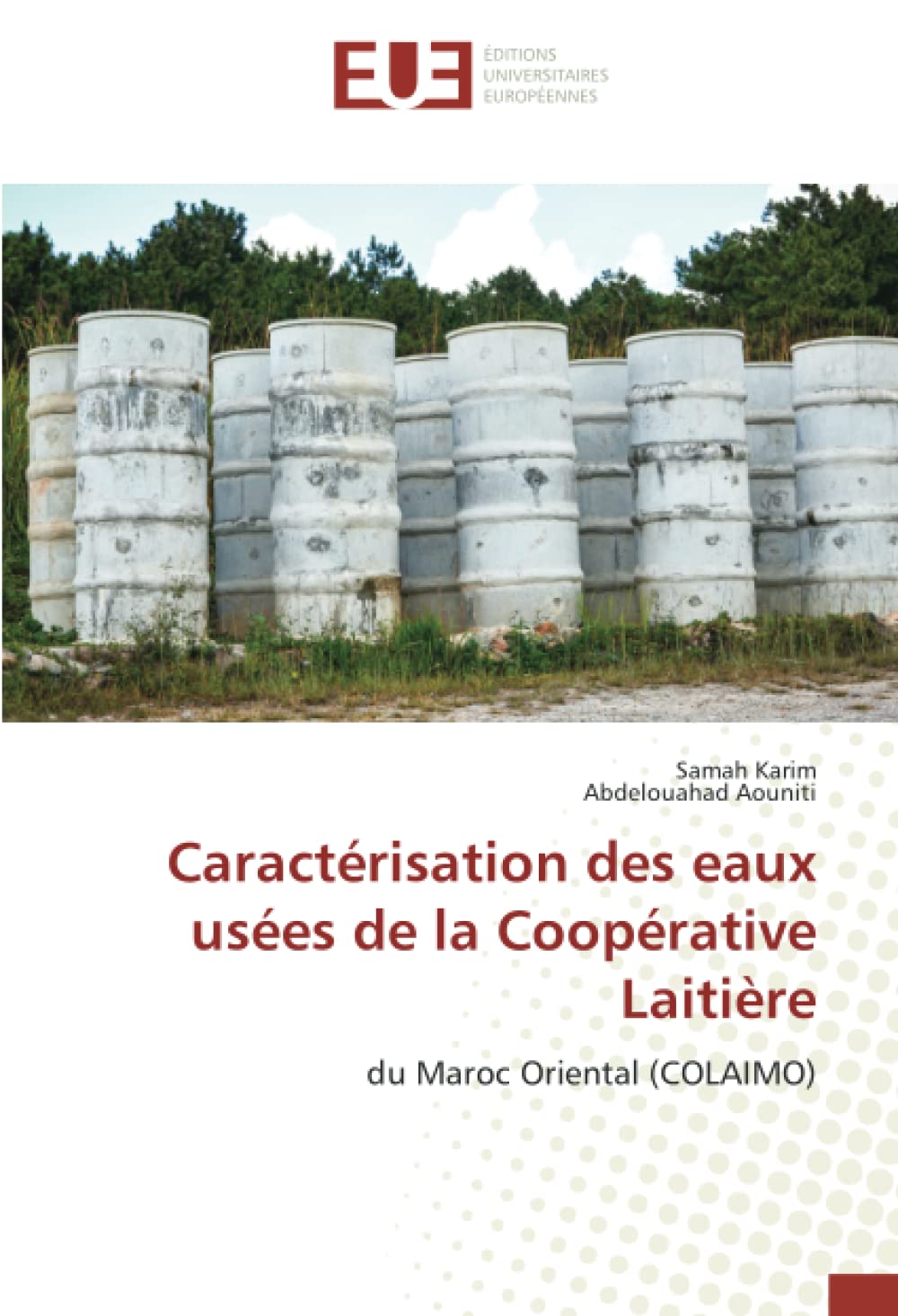 Caractérisation des eaux usées de la Coopérative Laitière: du Maroc Oriental (COLAIMO) book